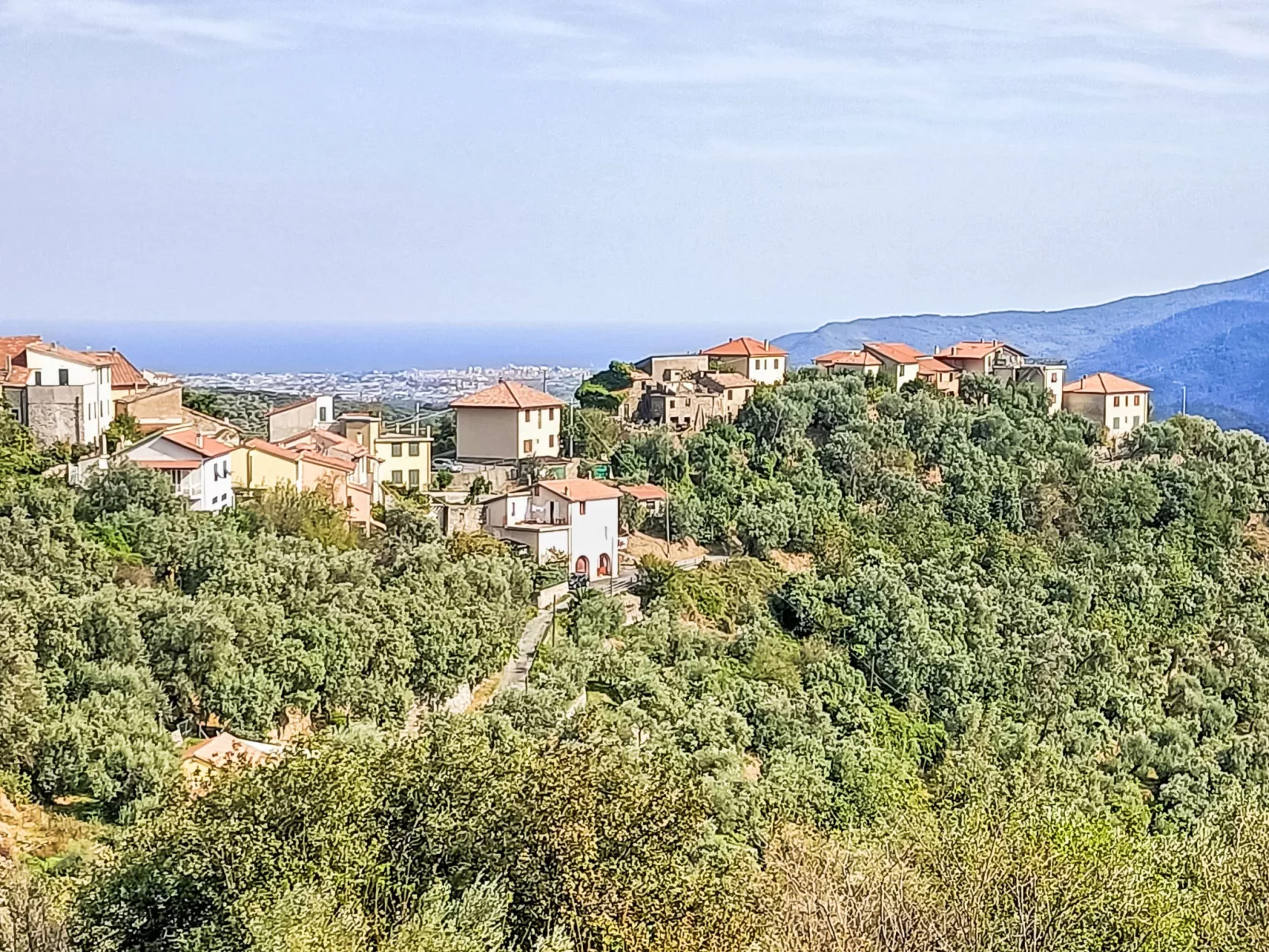 Al Forte-Area