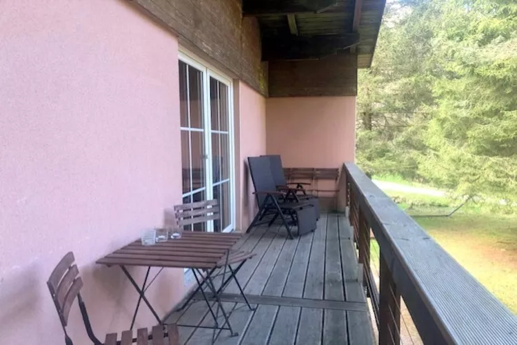 Holiday flats Forellenhof Dabo // Typ C 7 Pers 95 qm-Terrace balcony