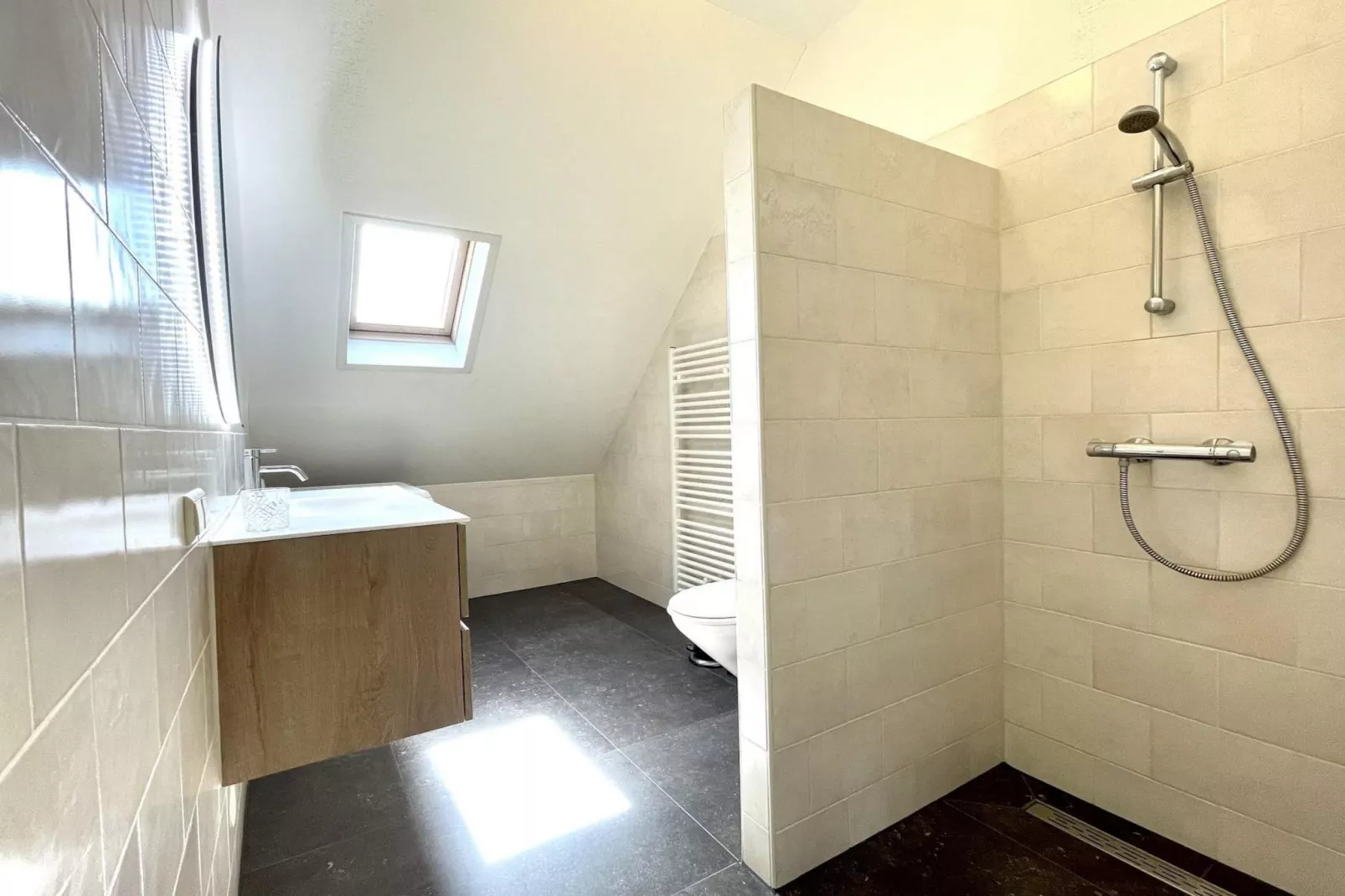 Anzelhoef Apartment Oost-Bathroom