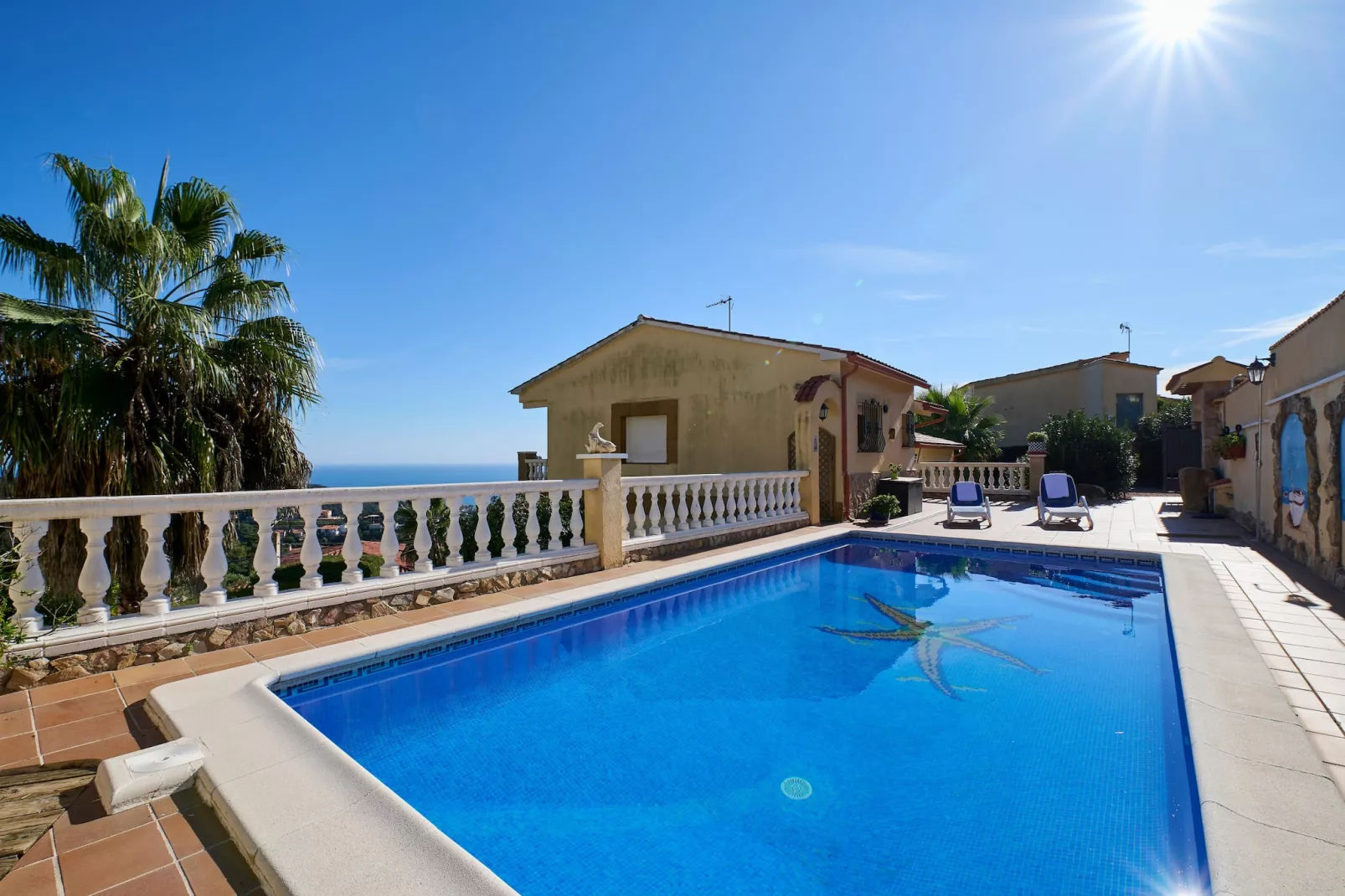 Crisantemo-Pool