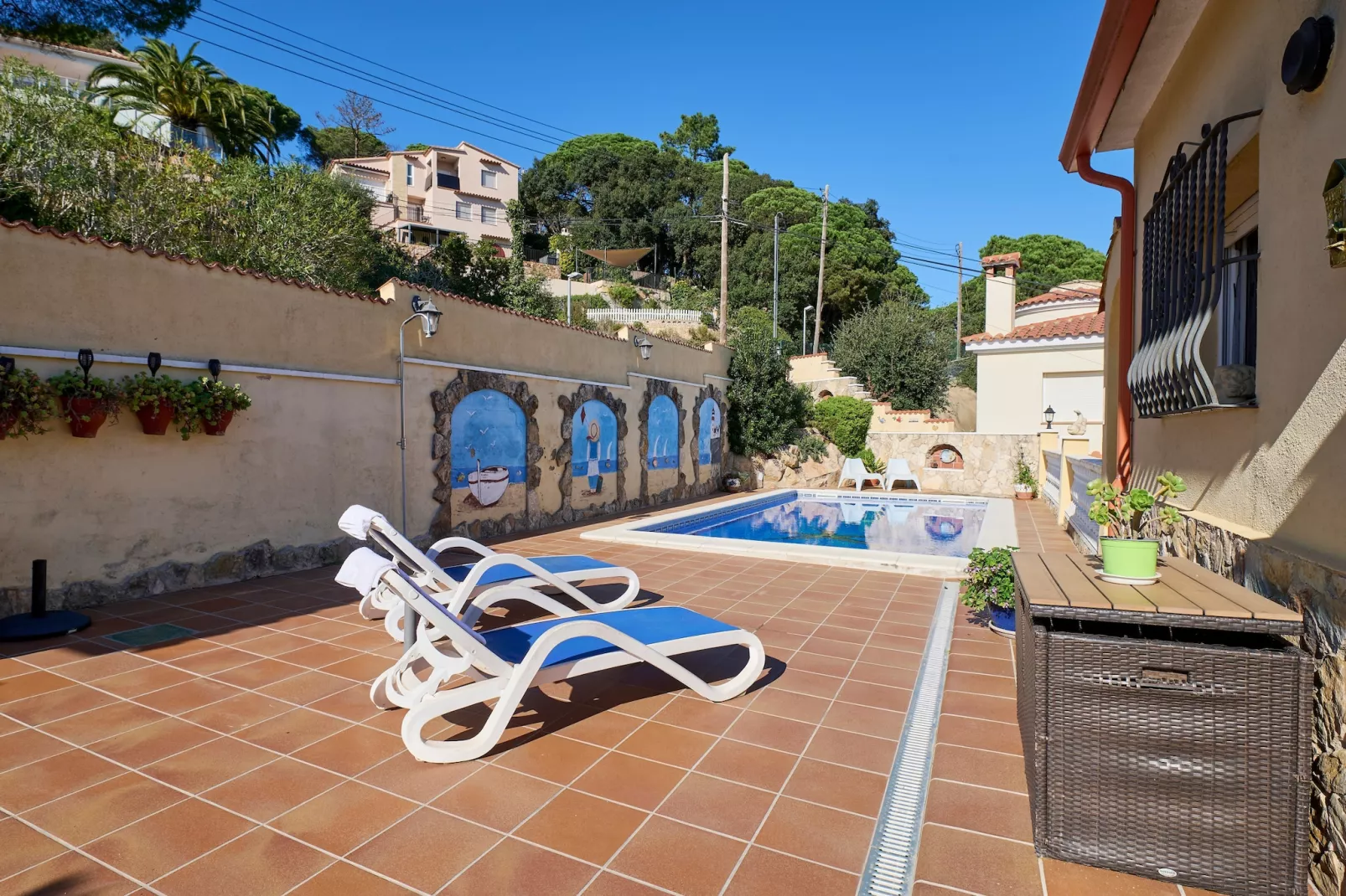 Crisantemo-View summer