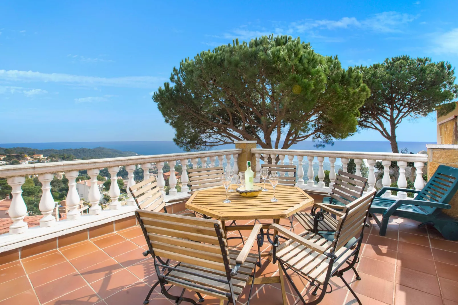 Crisantemo-Terrace
