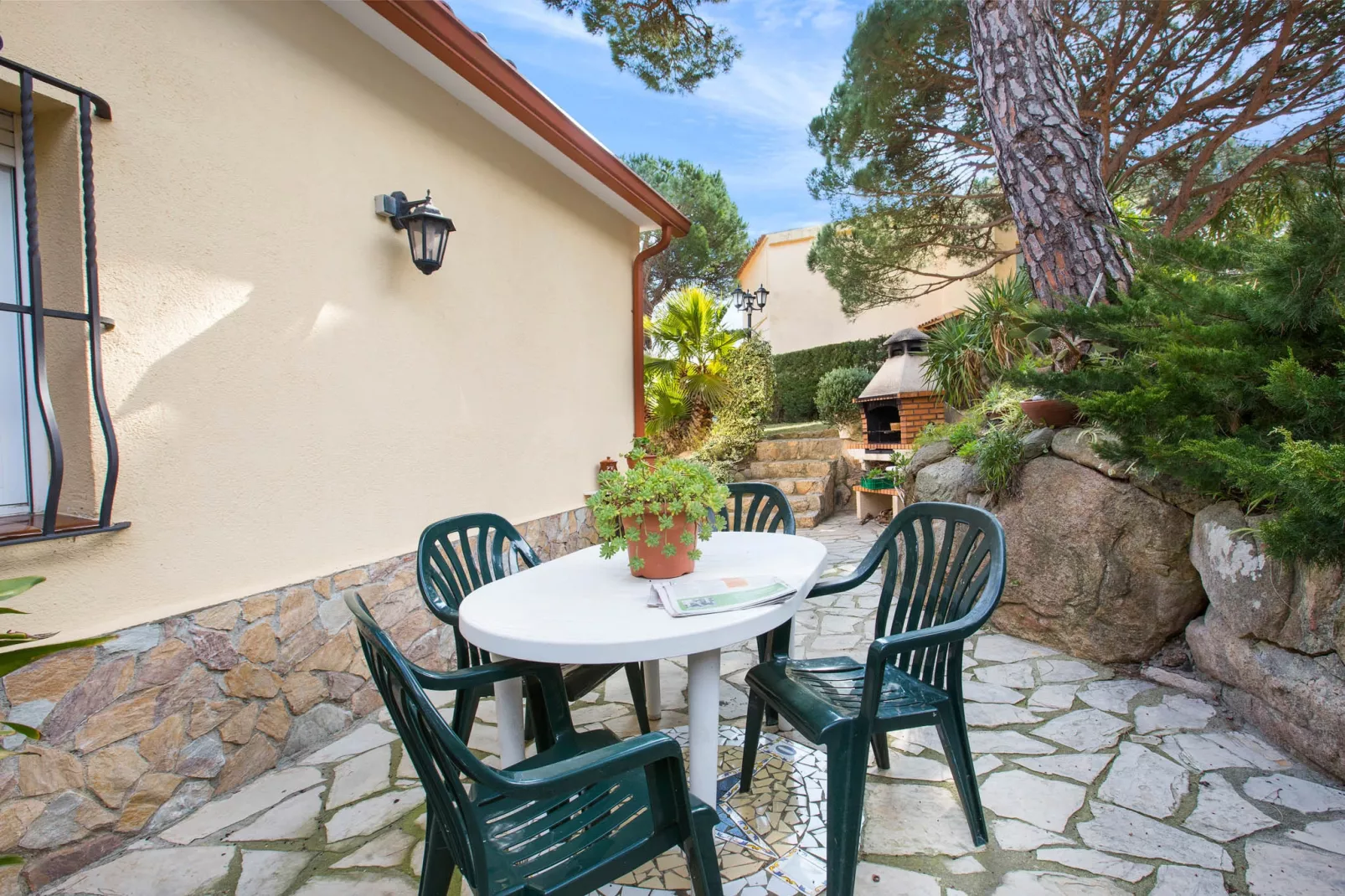 Crisantemo-Terrace