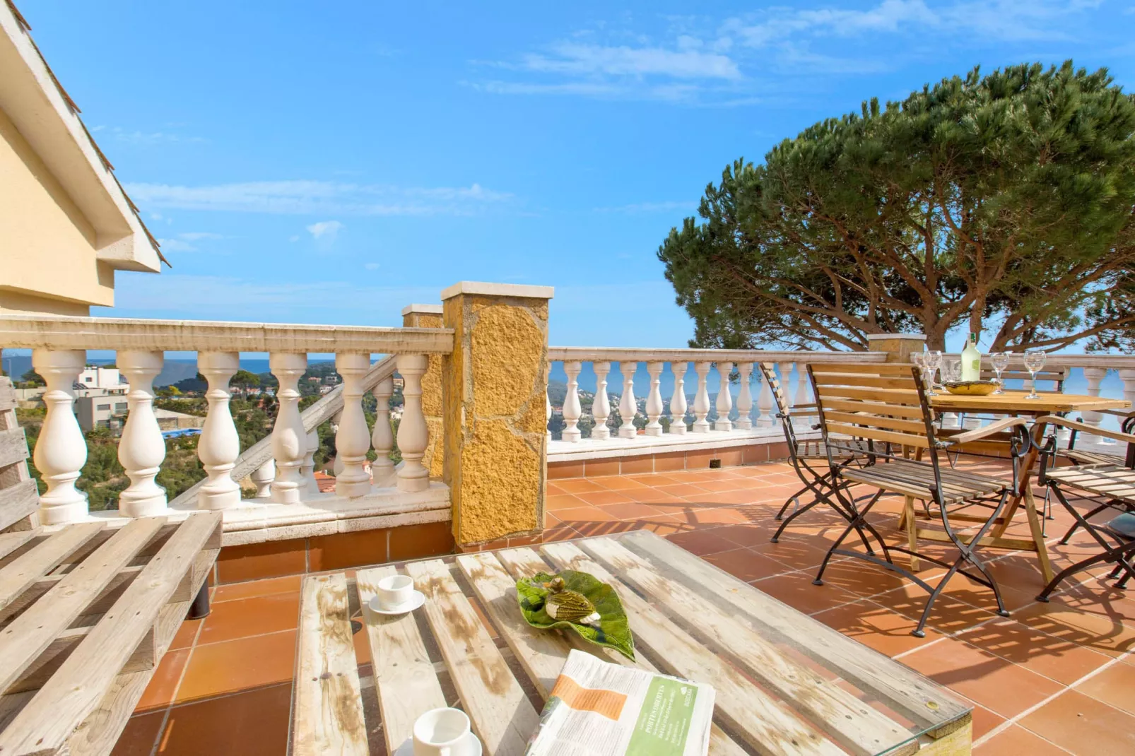 Crisantemo-Terrace