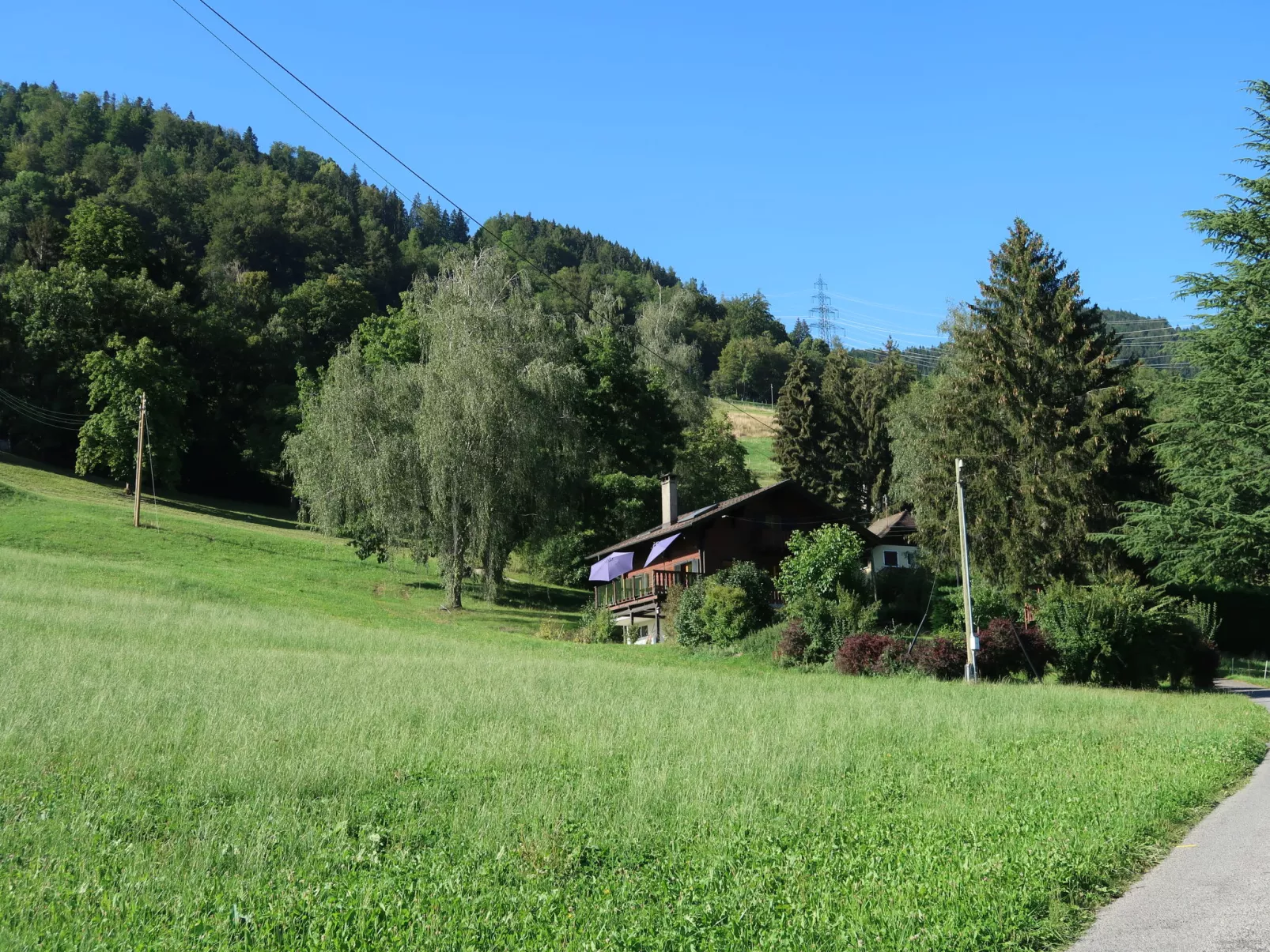 Saci-Draußen