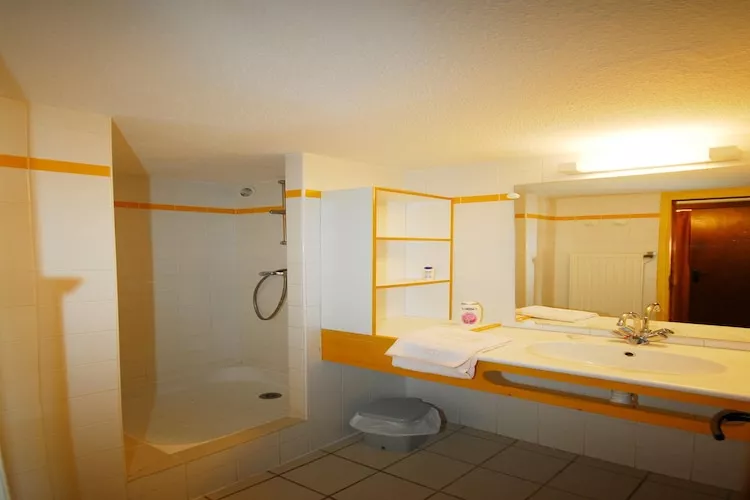 Saint-Julien-Chapteuil - Gîte 2 Pièces 4 Personnes 1  bébé-Bathroom