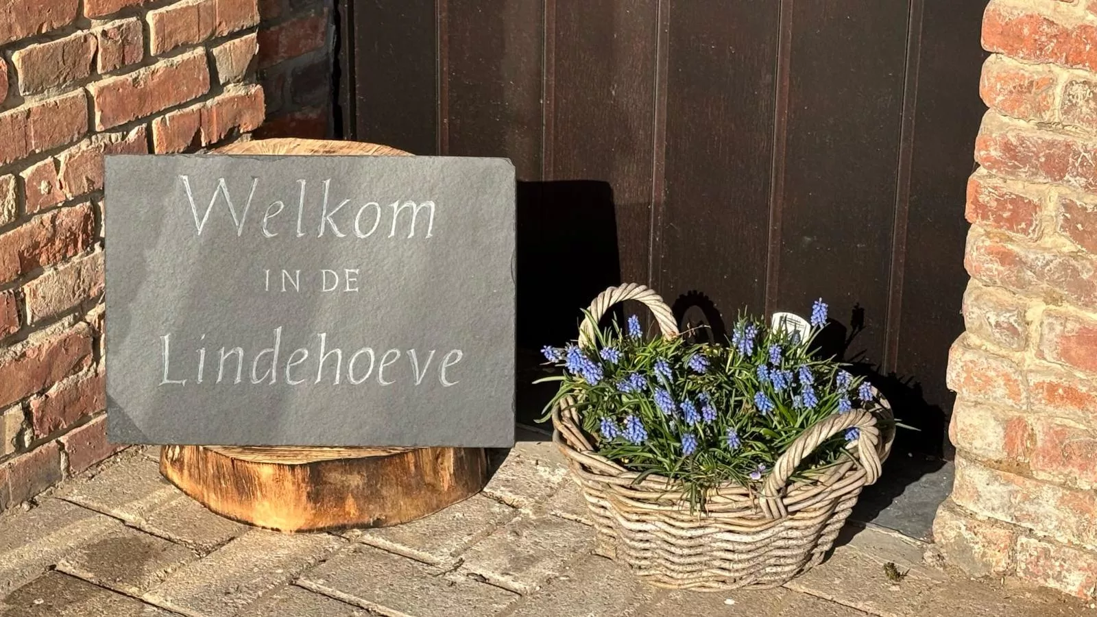 Lindehoeve-Atmosphere