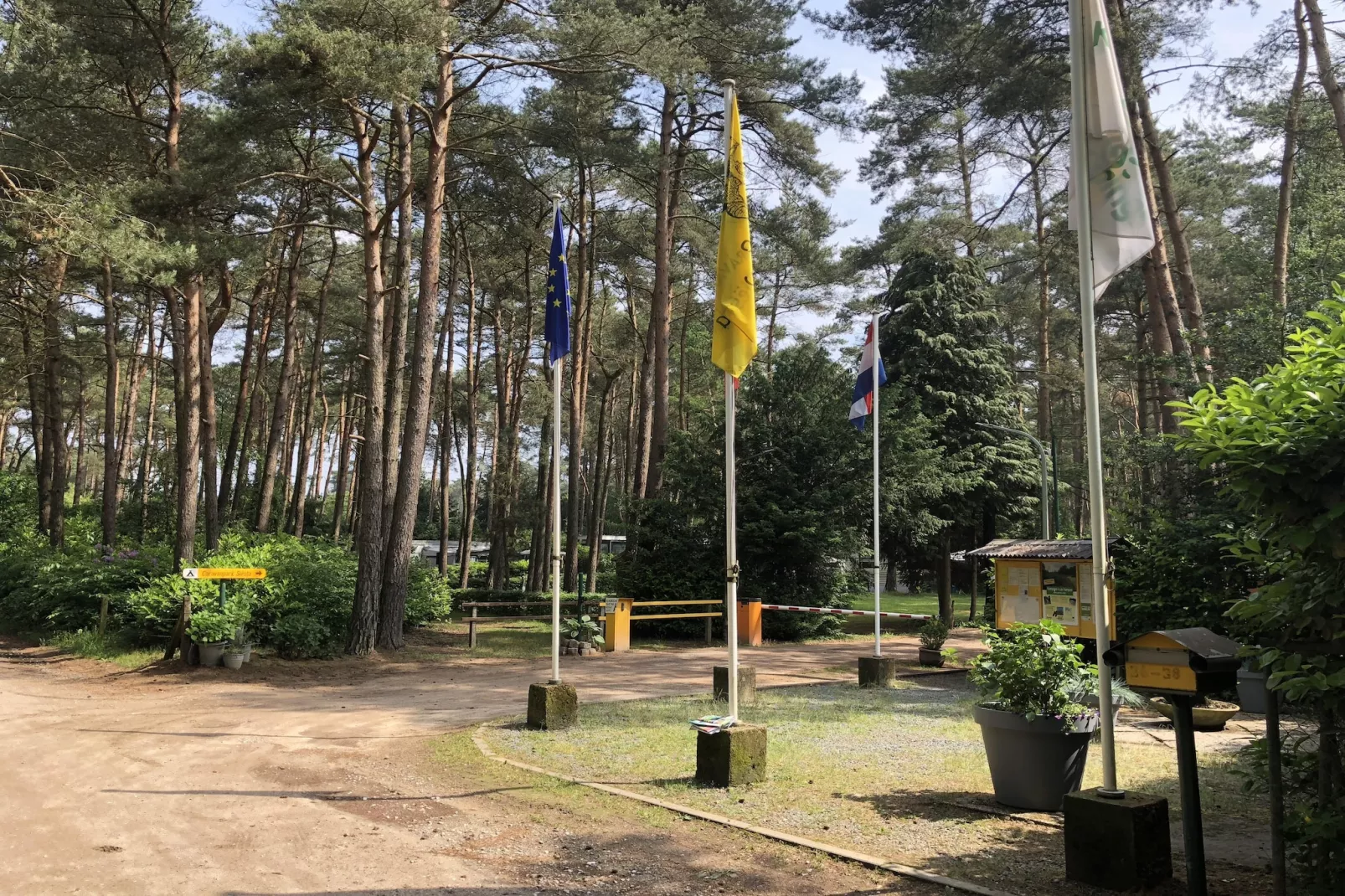Sparrowhawk-Areas summer 5km