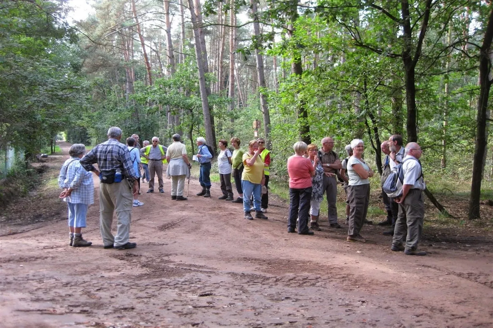 Sparrowhawk-Areas summer 5km