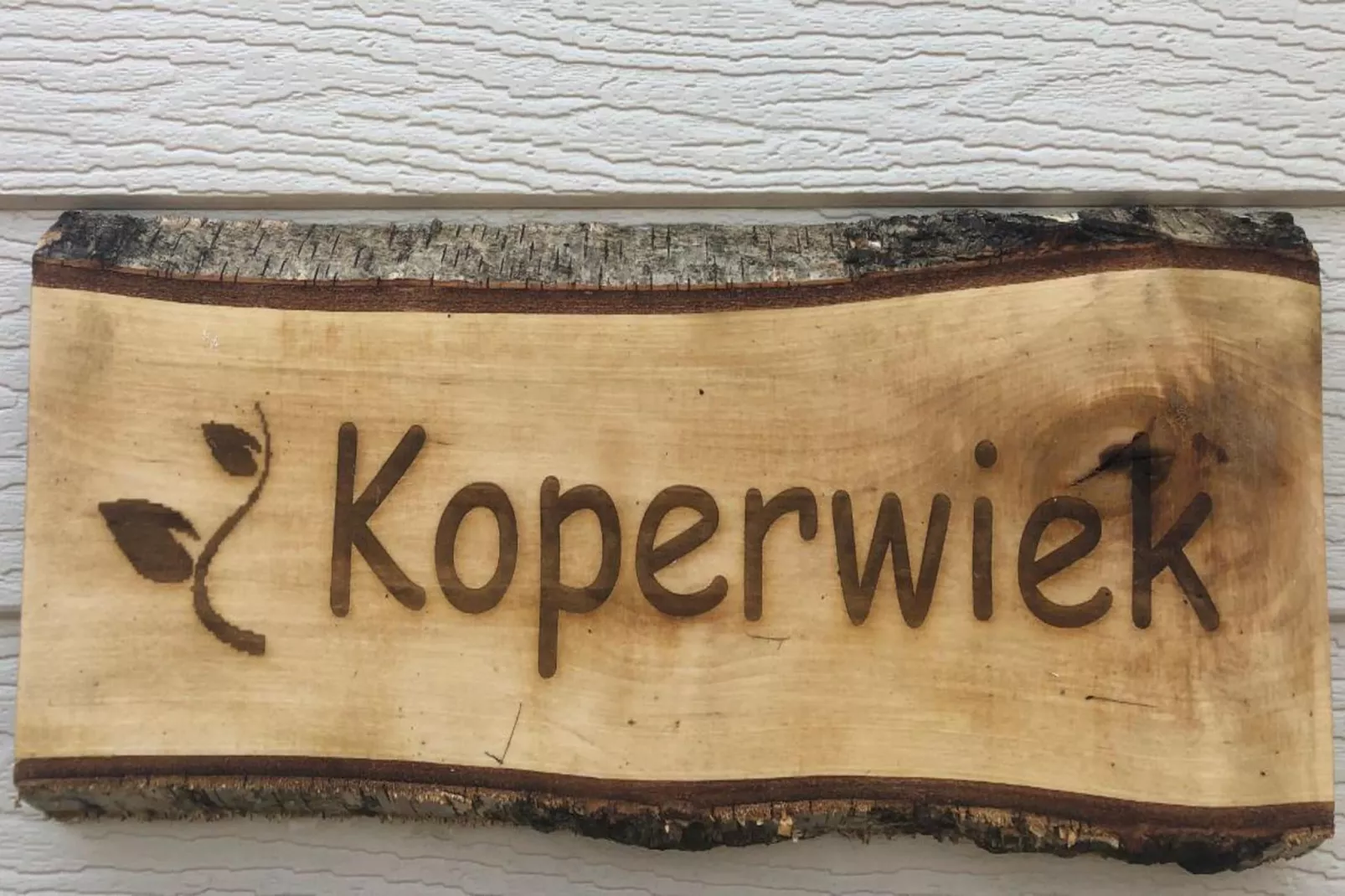 Koperwiek-Exterior winter