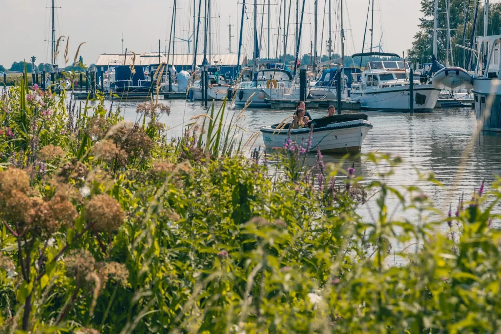 Resort De Biesbosch 2-Park facilities