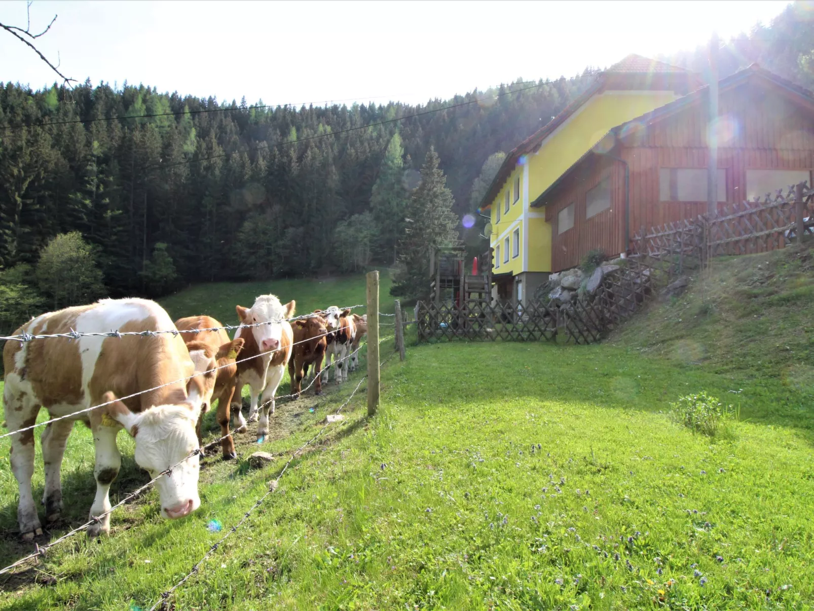 Krechen Alm-Draußen