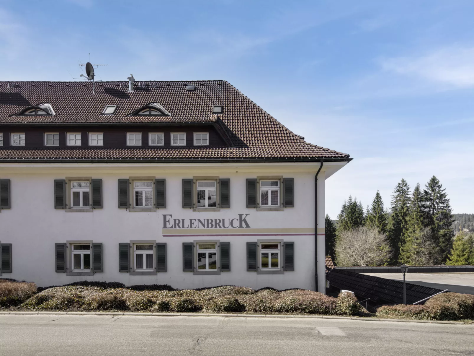 Waldglück