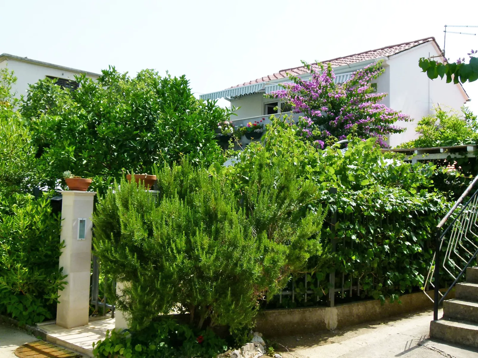 Villa ANiMa-Mia-Dehors