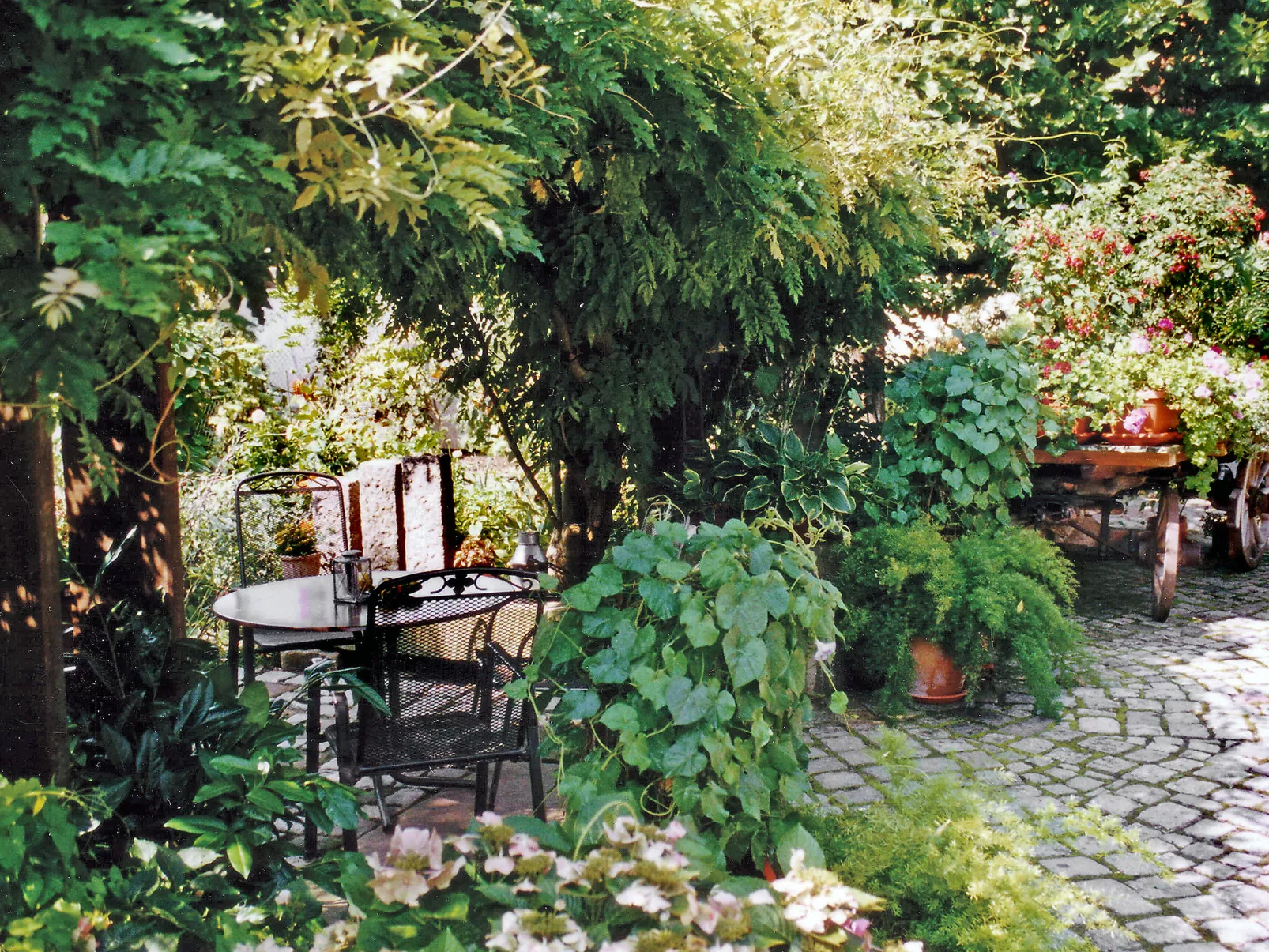 Haus Schwärzel-Dehors