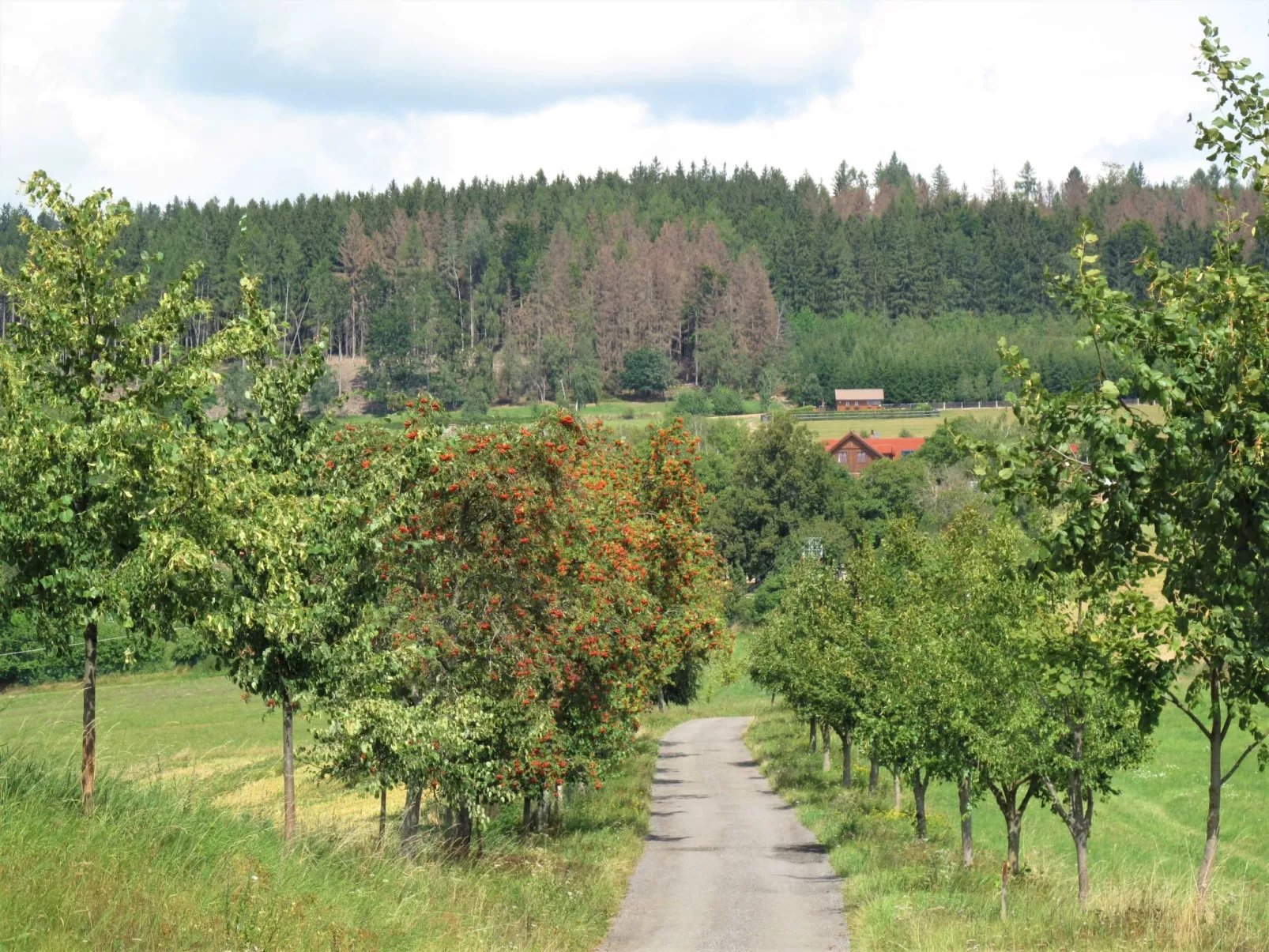 Růžovka-Outside
