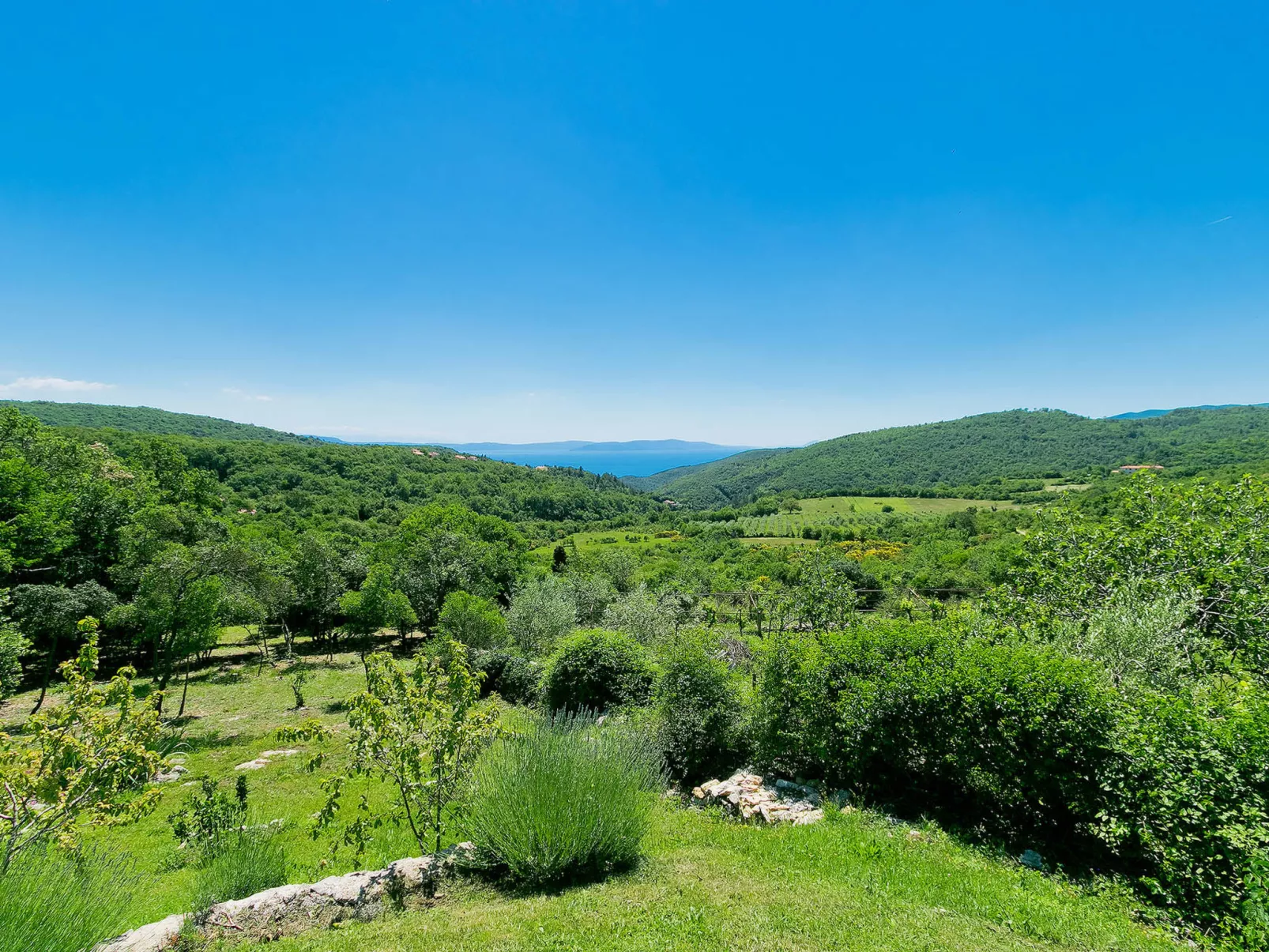 Panorama 2-Inside