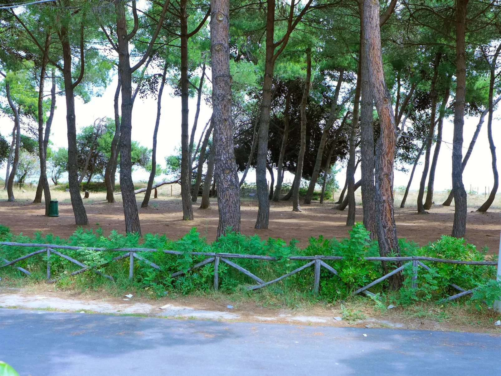 Cerrano-Outside