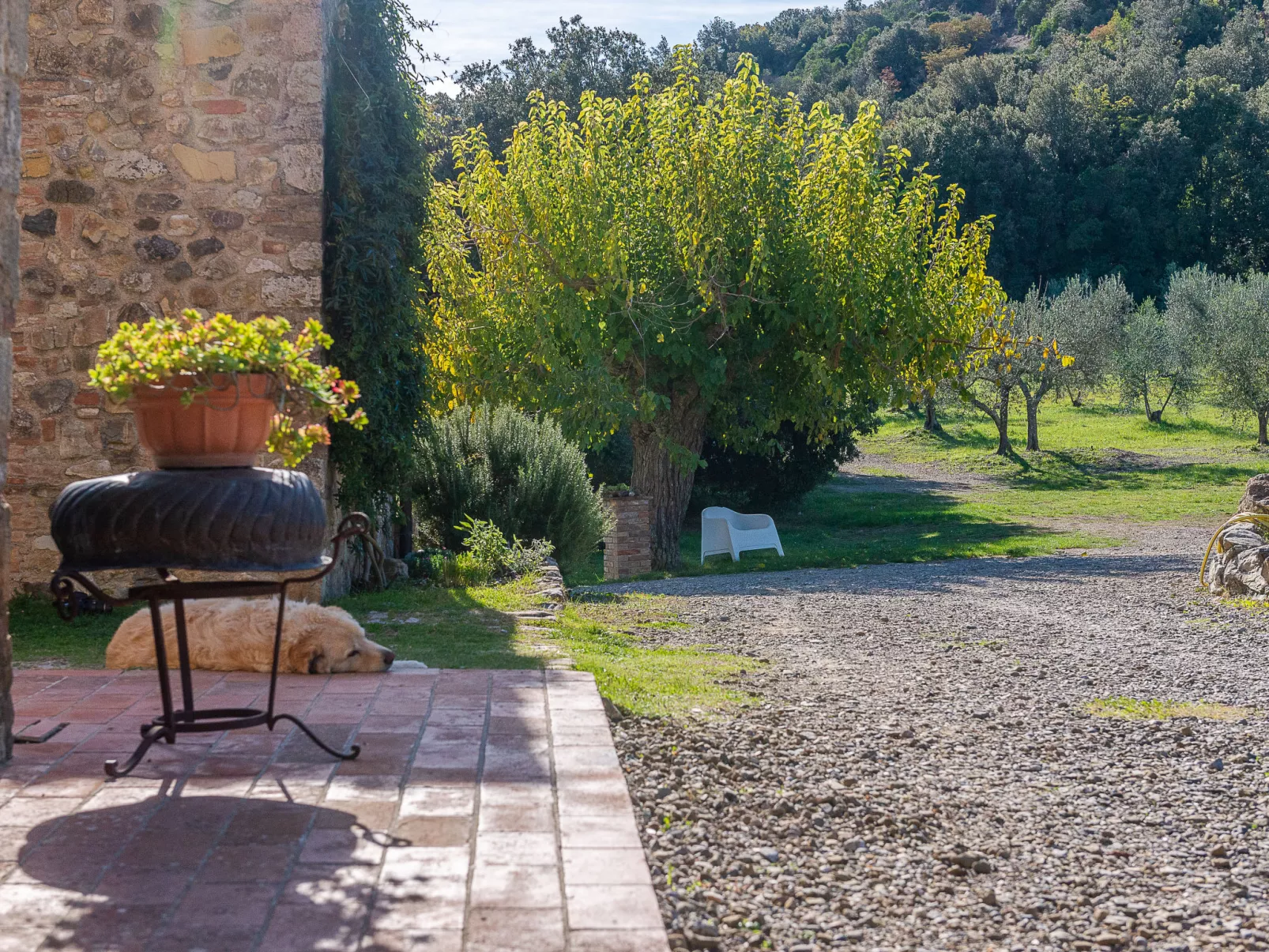 Podere Vignali-Outside