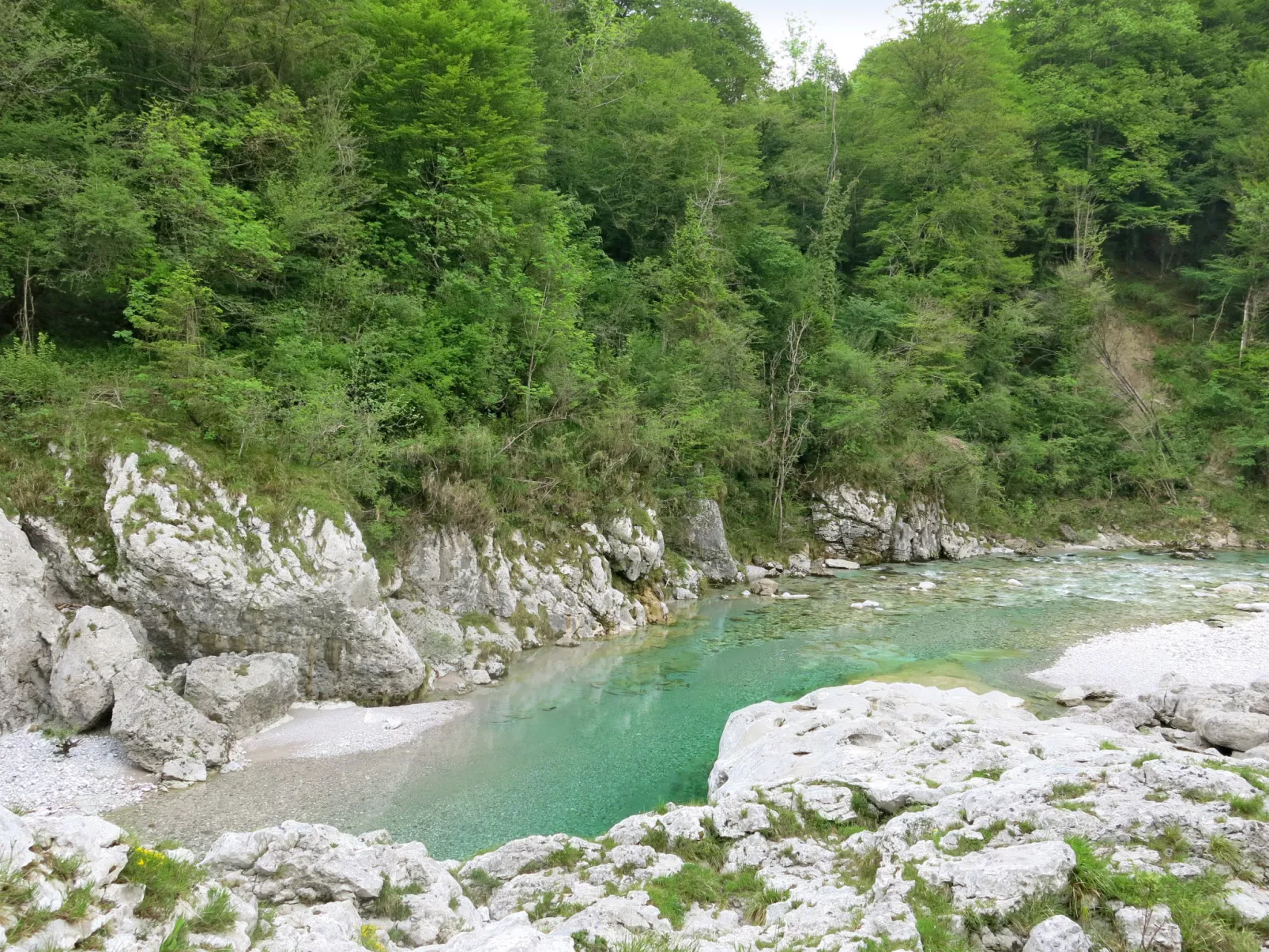 Villa Margherita-Environnement