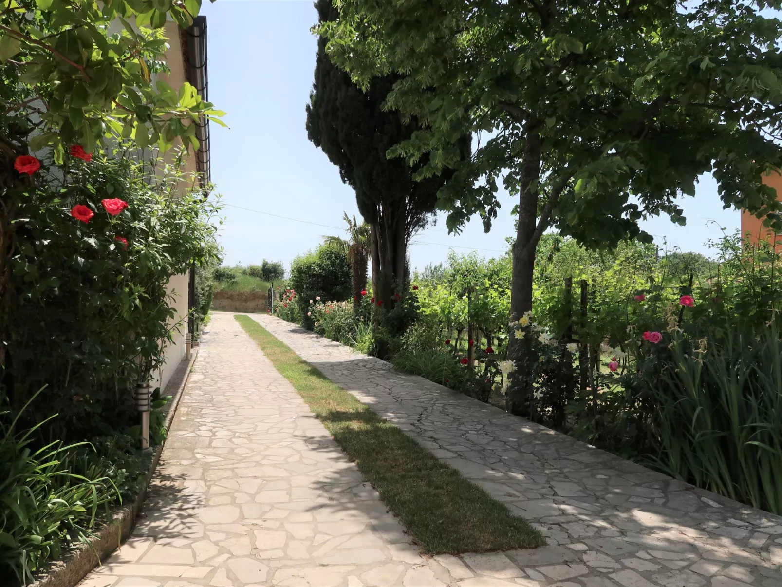 Villa Palma-Outside