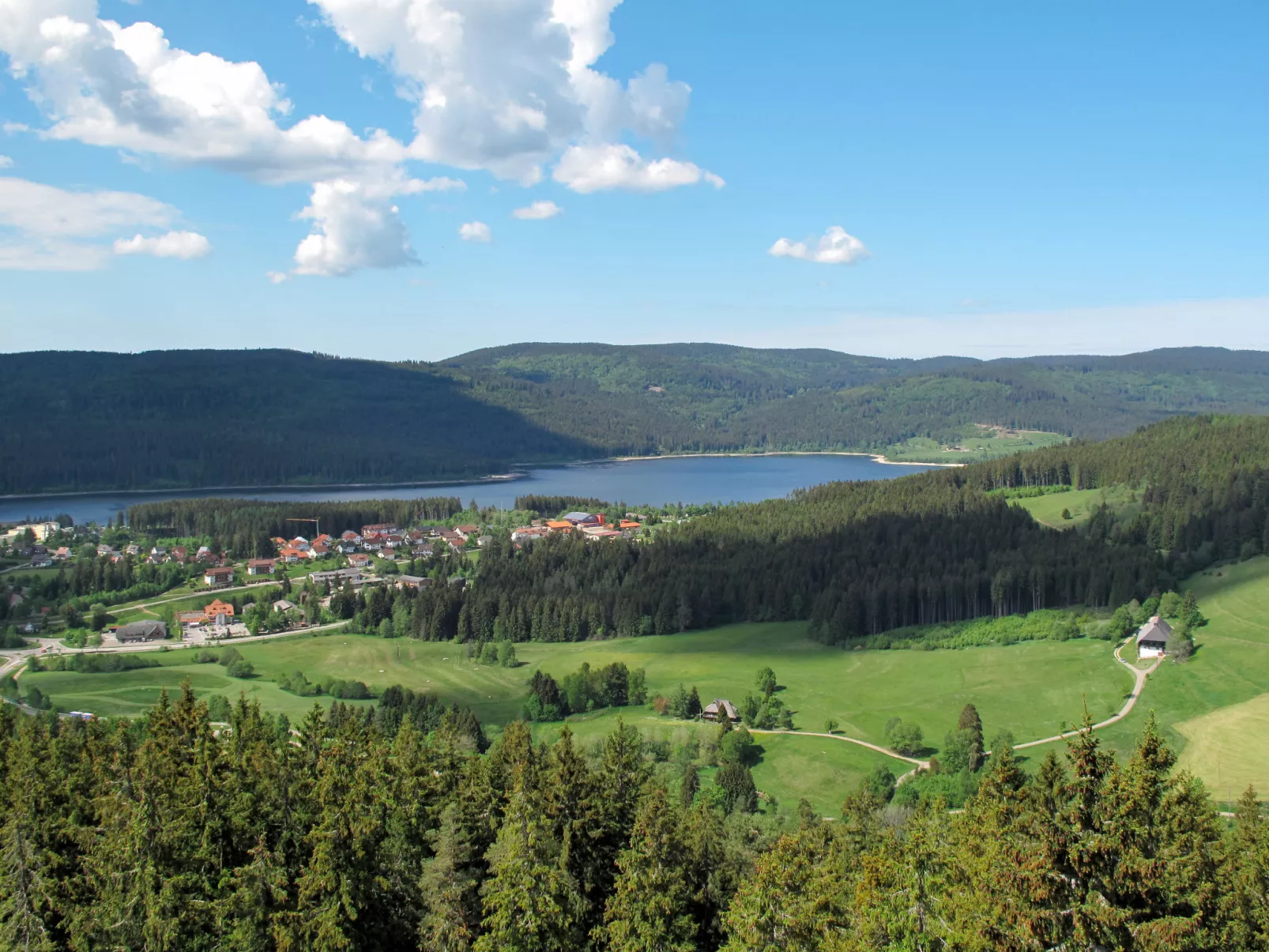 Schleuniger-Area