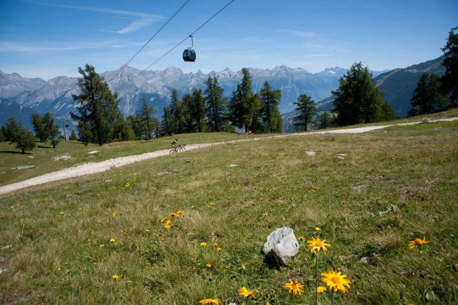 Tschoueilles 013 MOUNTAIN & VIEW - chalet 12 pers-Gebiete Sommer 1 km