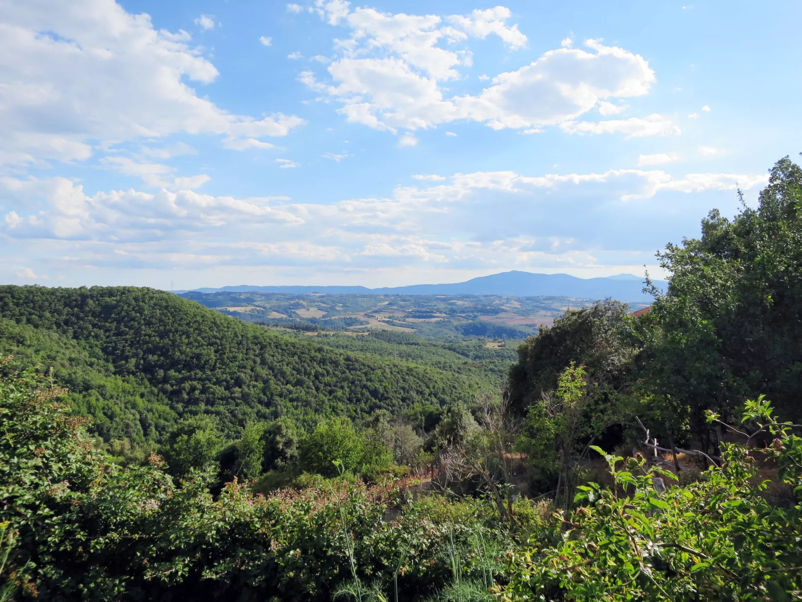 Paradiso Selvaggio-Outside