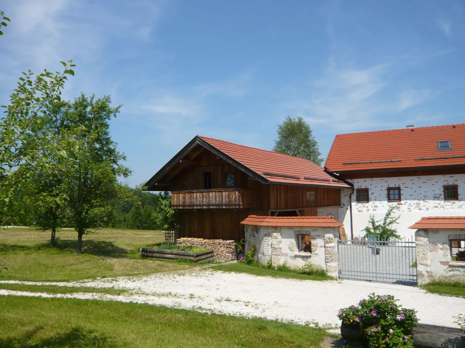 Lehner im Wald-Outside