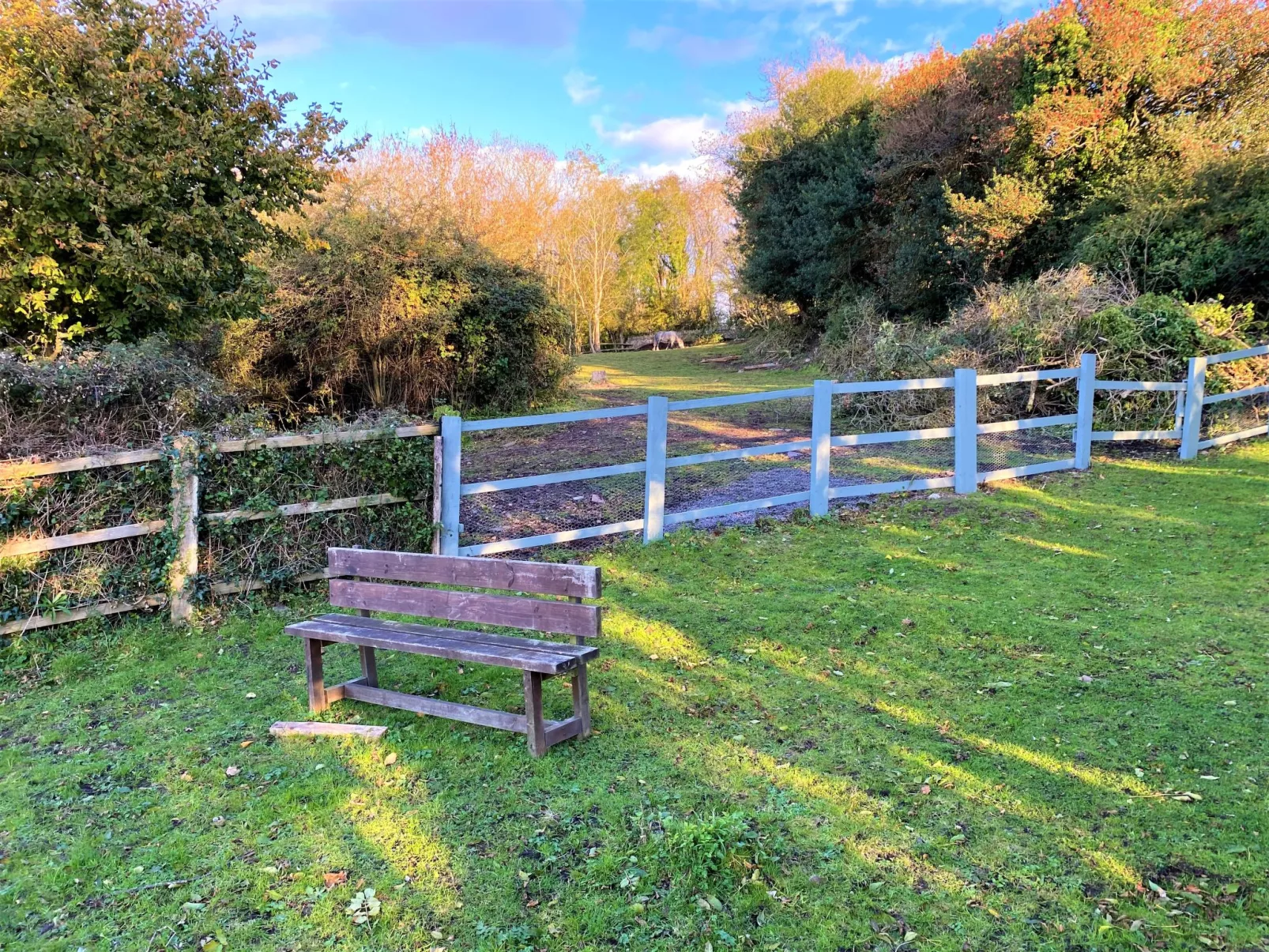 Moonfleat Cottage-Outside