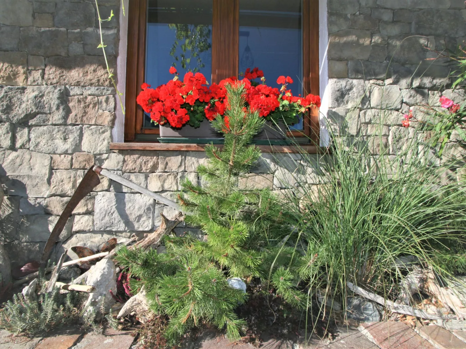 Chalet Astholz-Outside