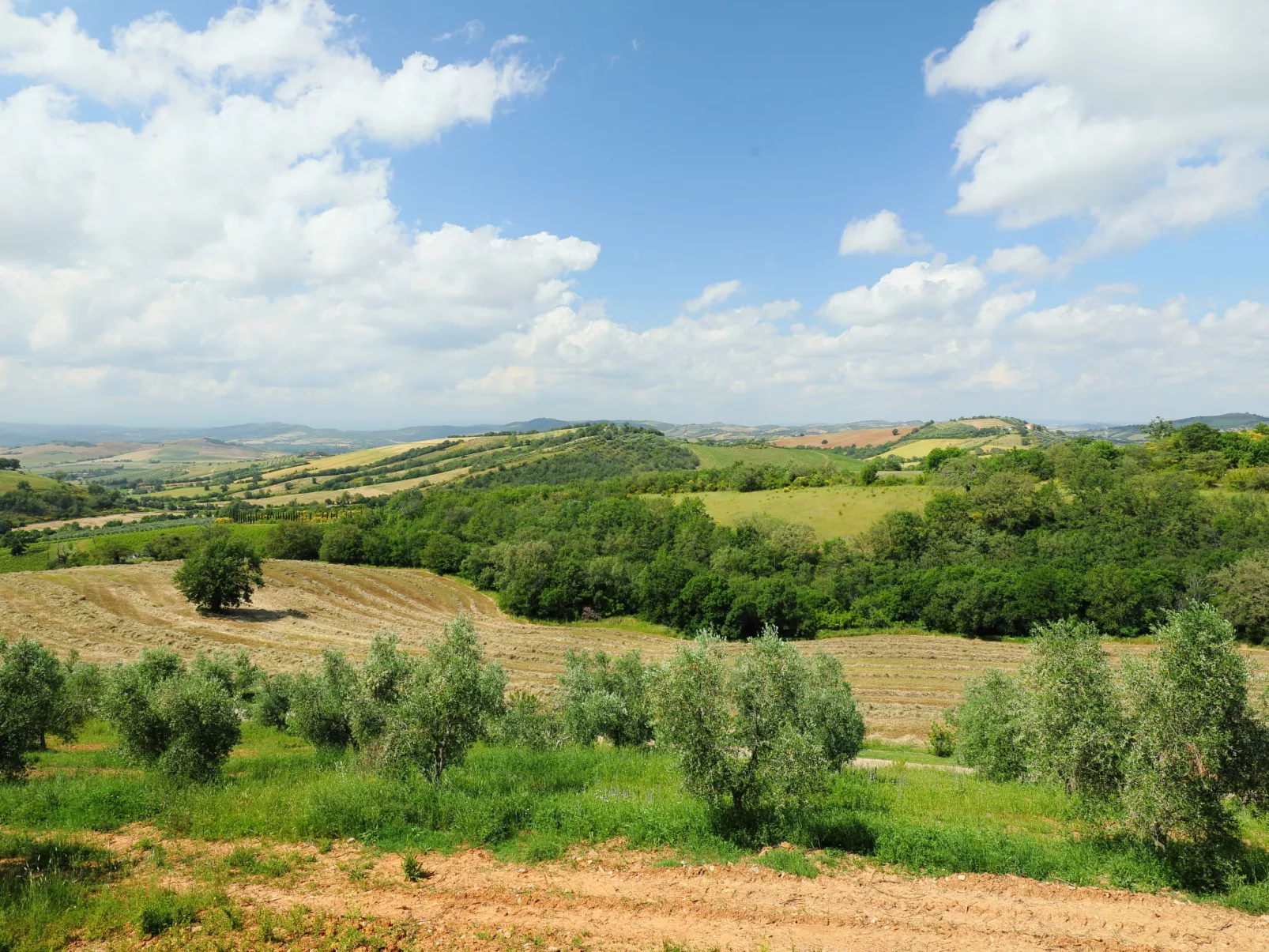 Casa dell'Orto-Outside