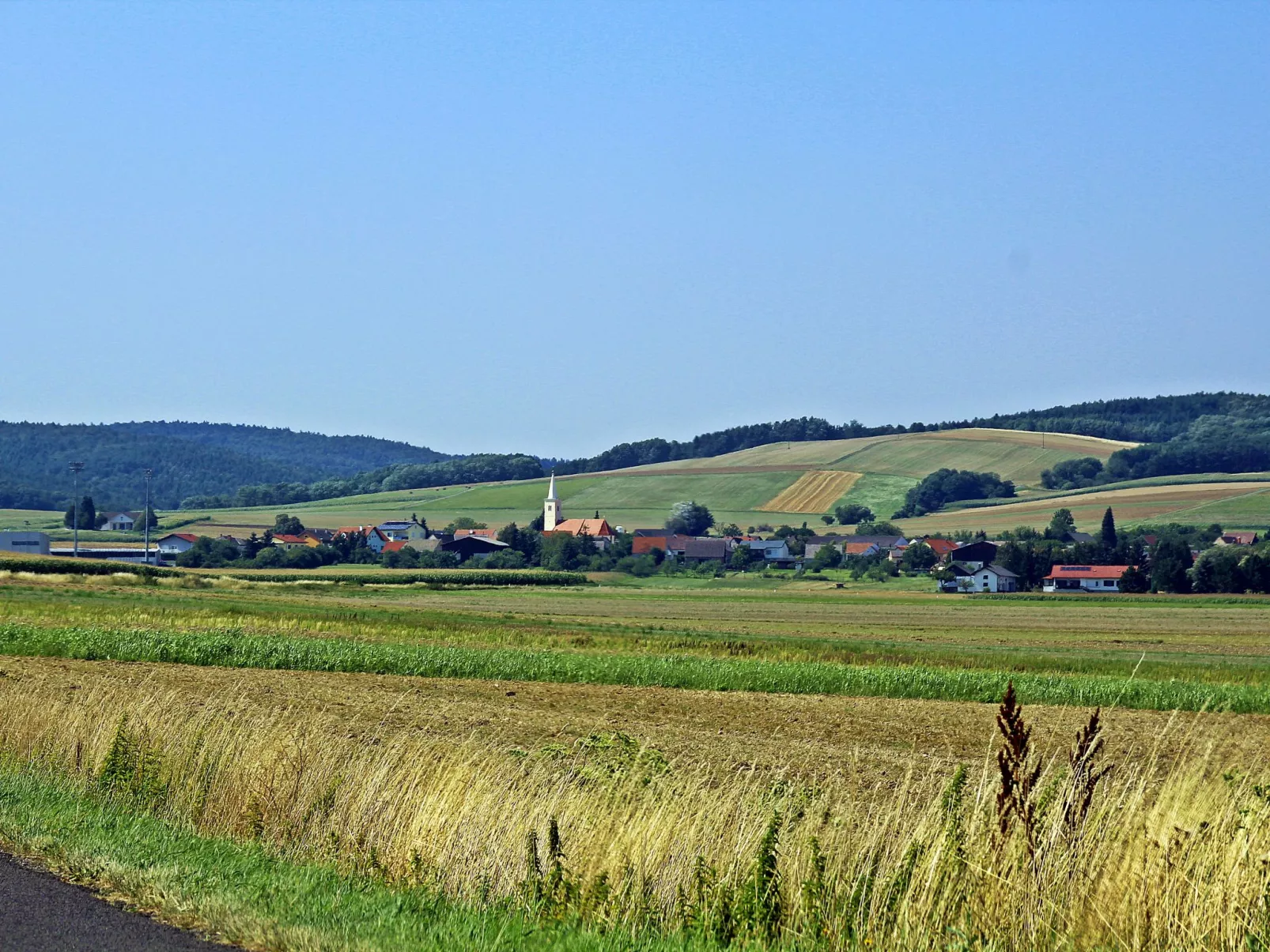 Friedl-Area