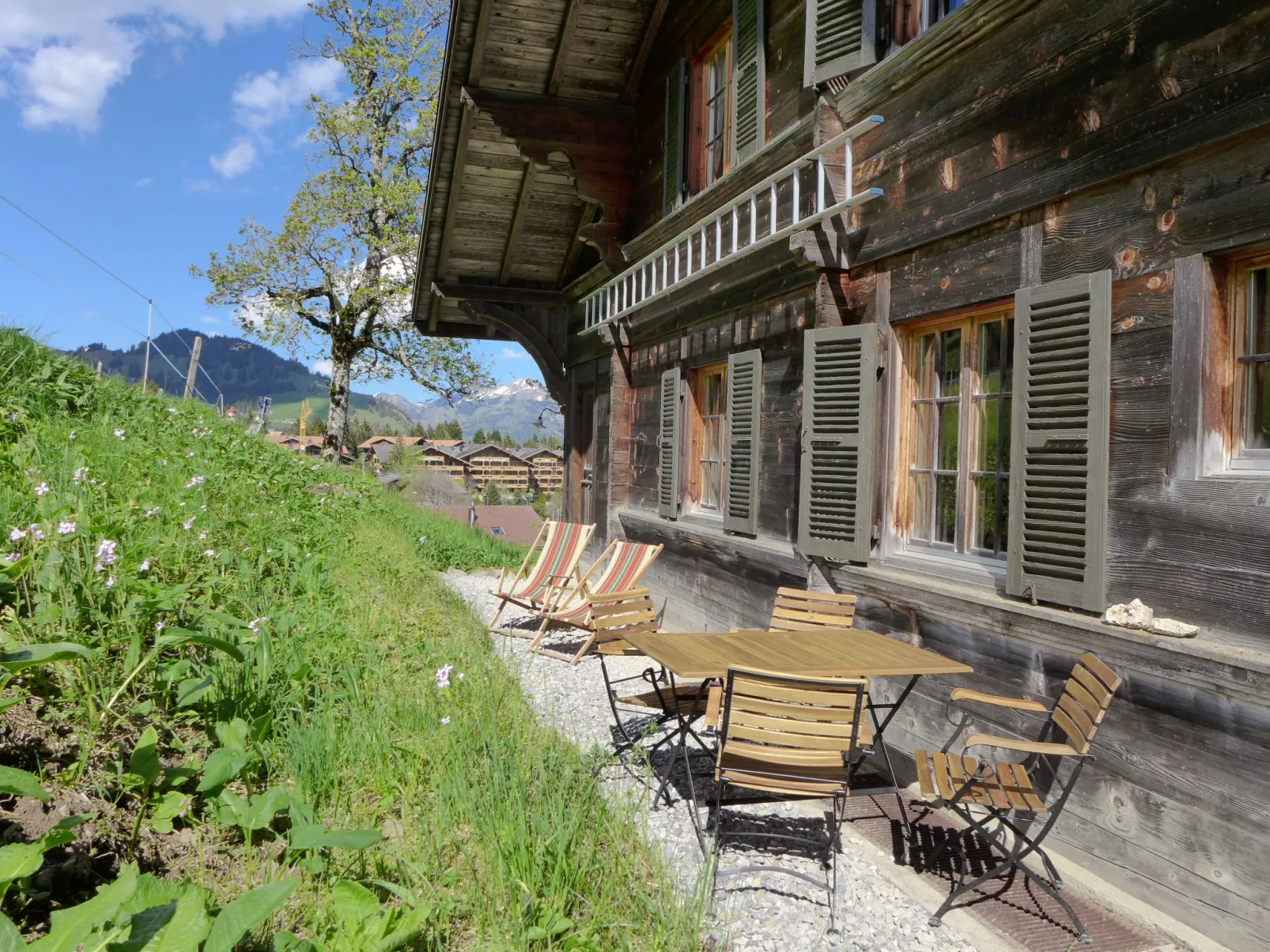 Chalet Ahorni-Outside