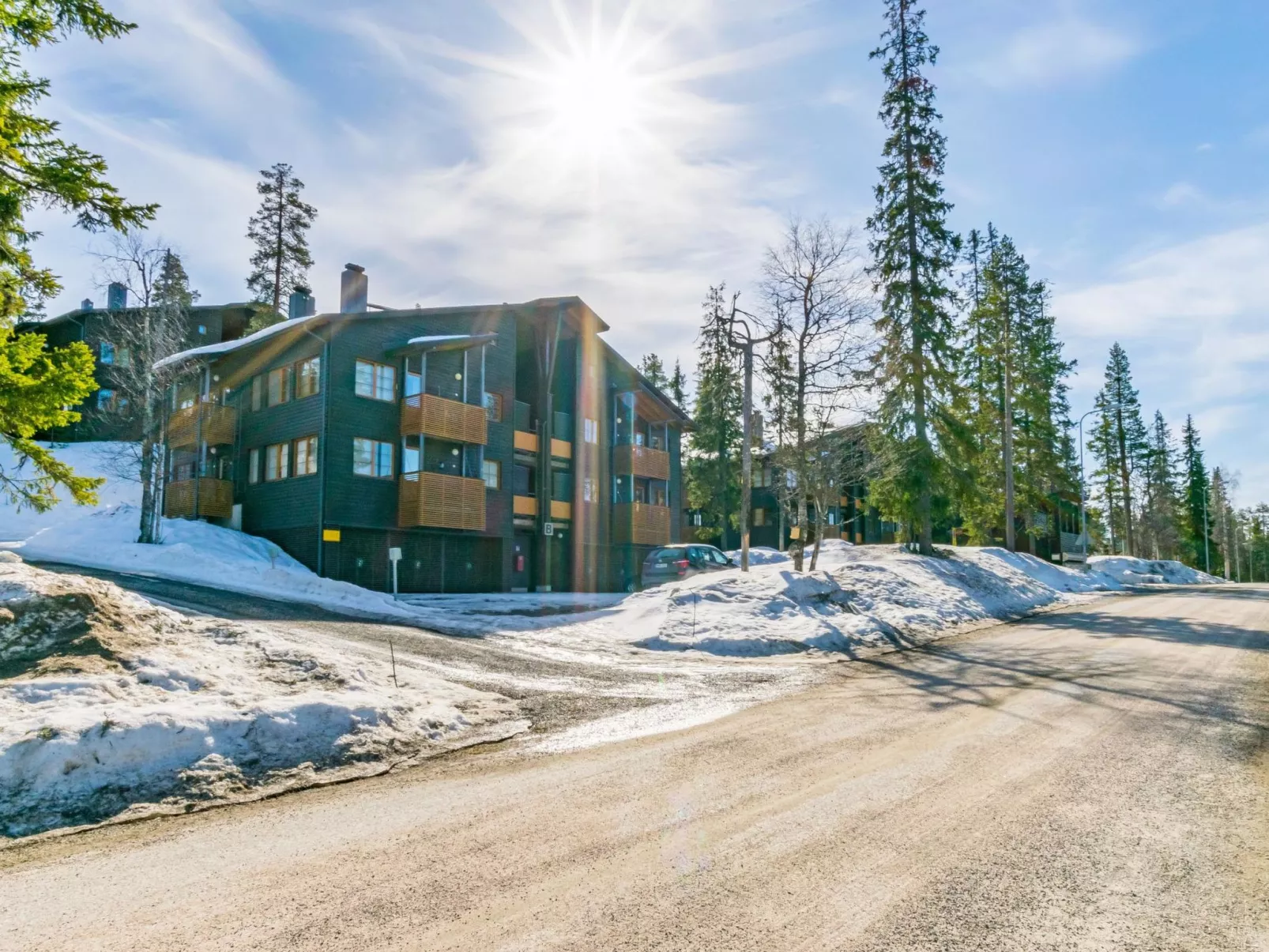Karhunvartijan linna b16-Outside