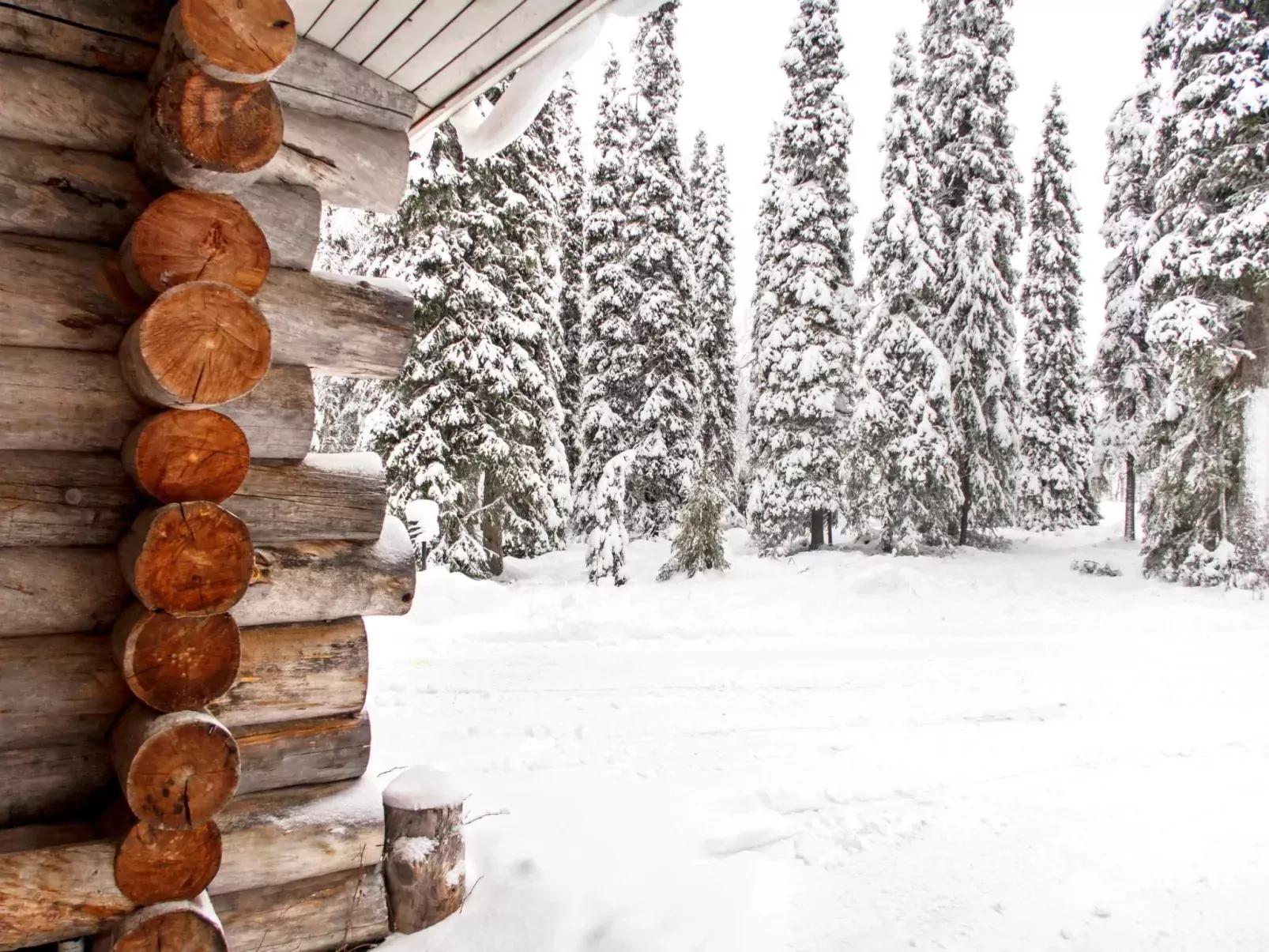 Aurinko-ruka c5-Outside
