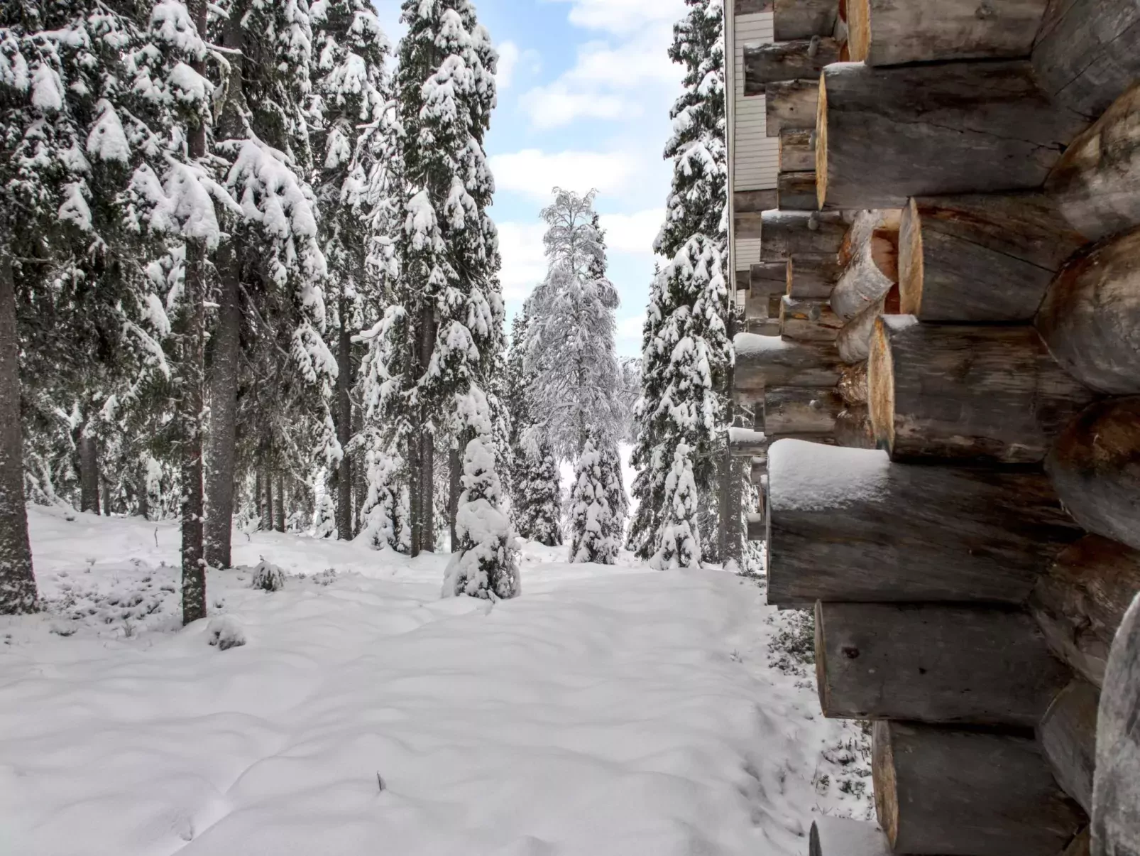 Aurinko-ruka c5-Outside