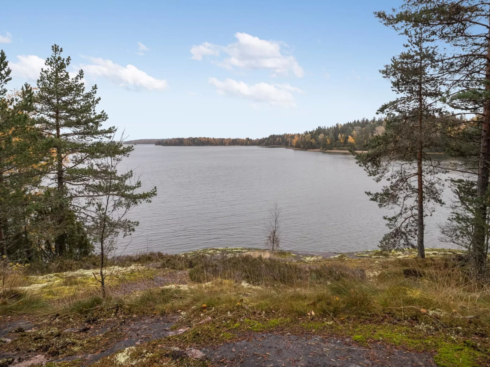 Lohjanherra
