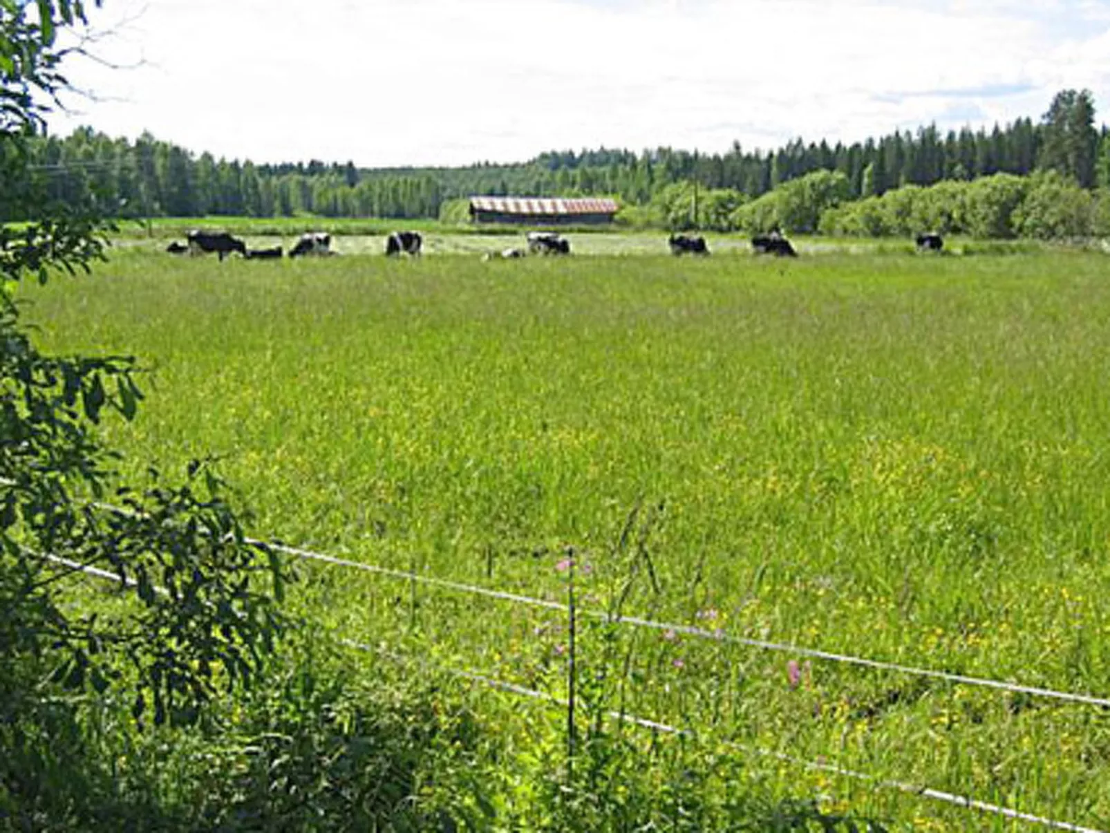 Pikkutupa-Draußen