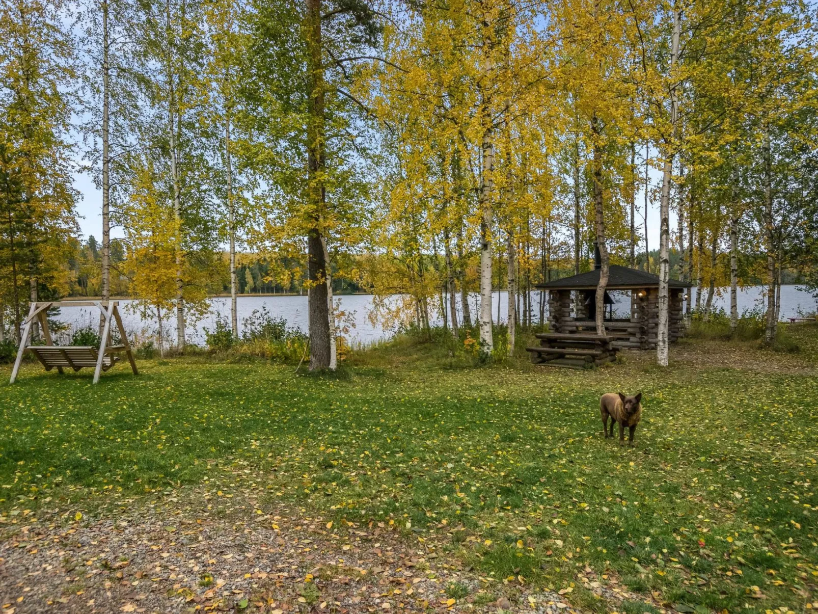 Talasniemi-Outside