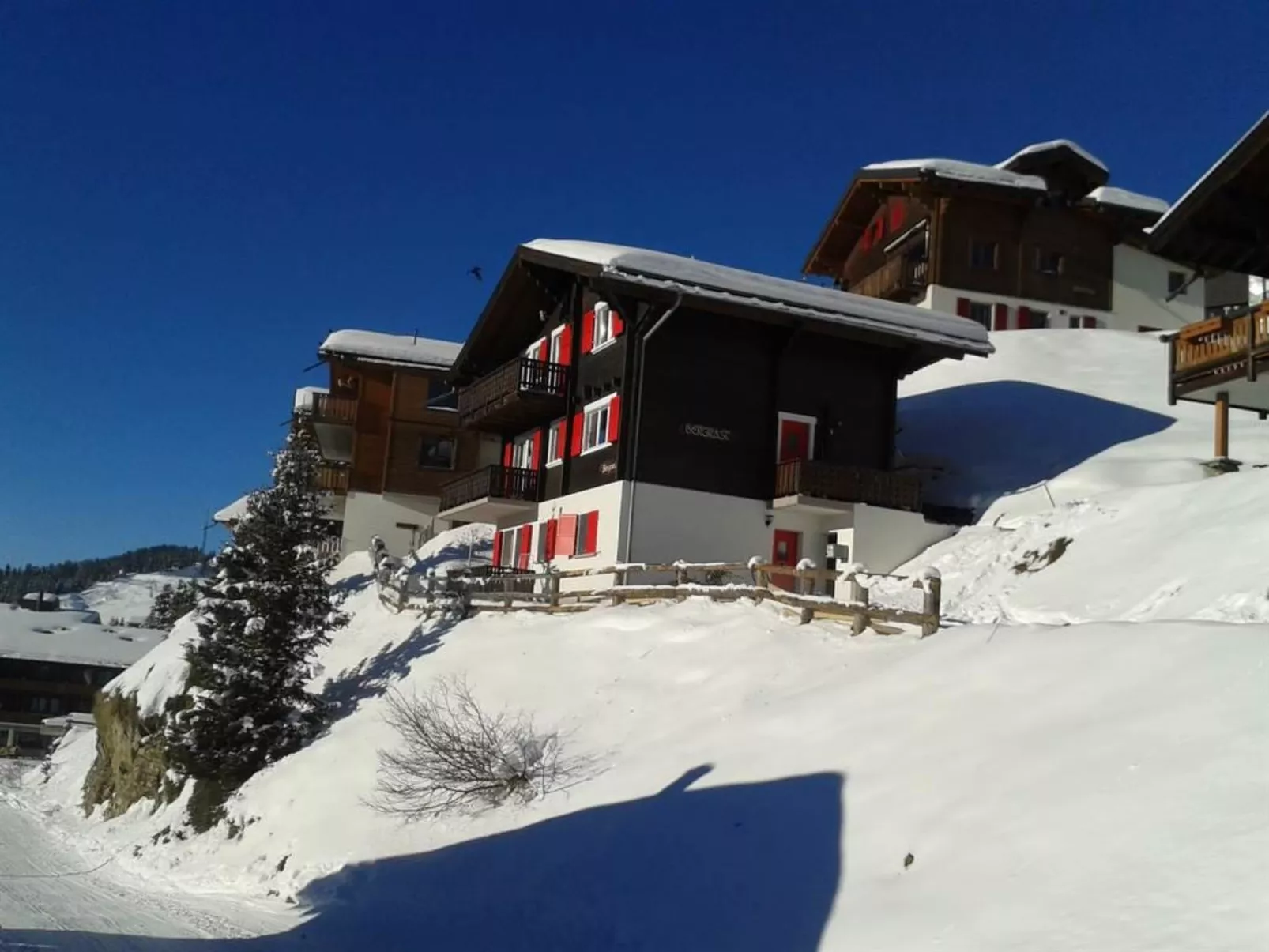 Bergrast OG Süd-West