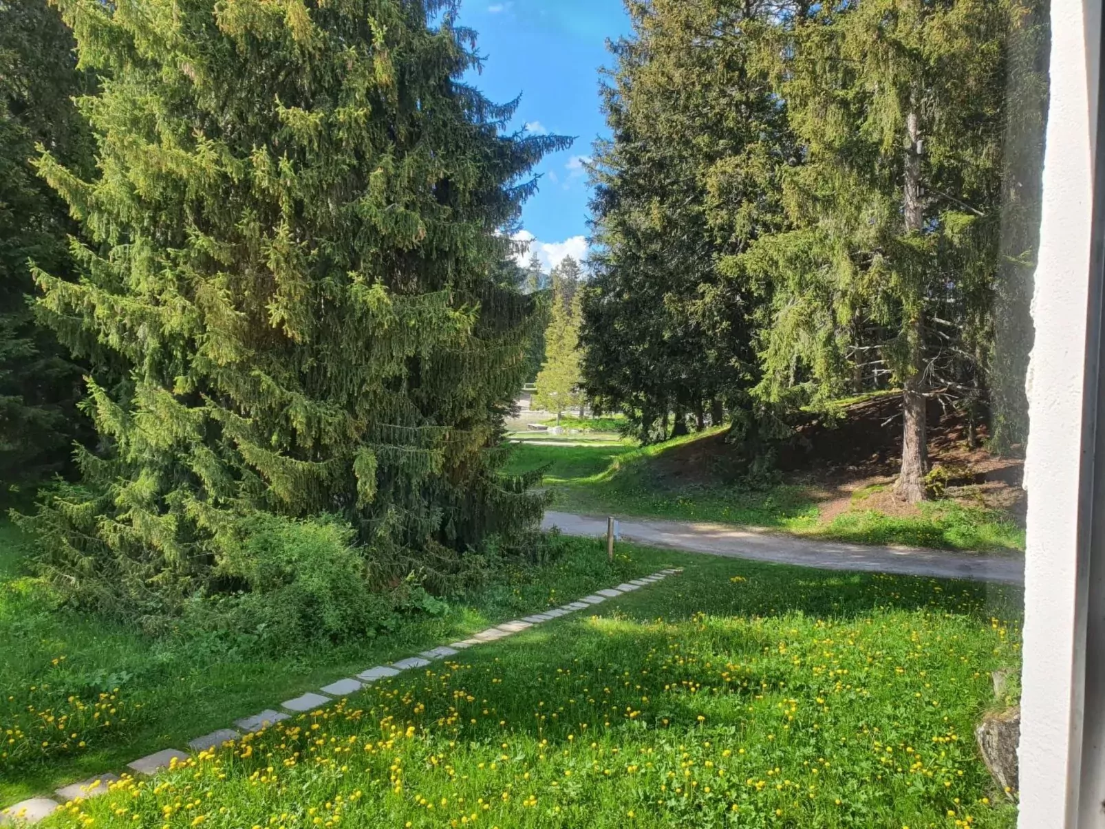 Belmont Seegarten-Dehors