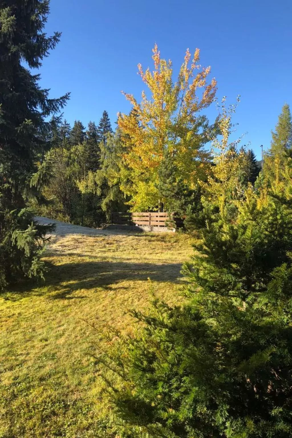 Uehlinger Seegarten Wirz-Dehors