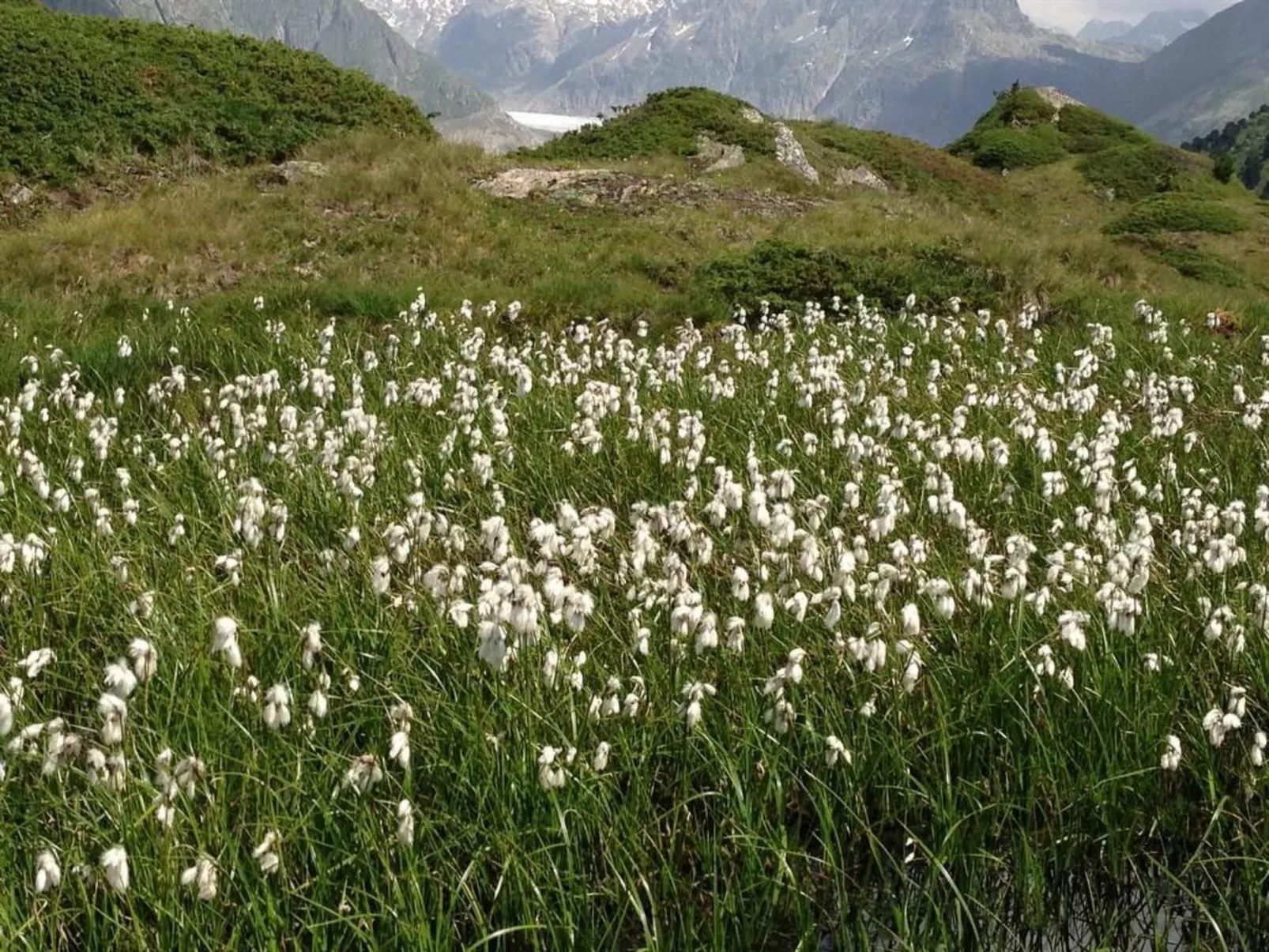 Abendrot EG Süd-West-Draußen