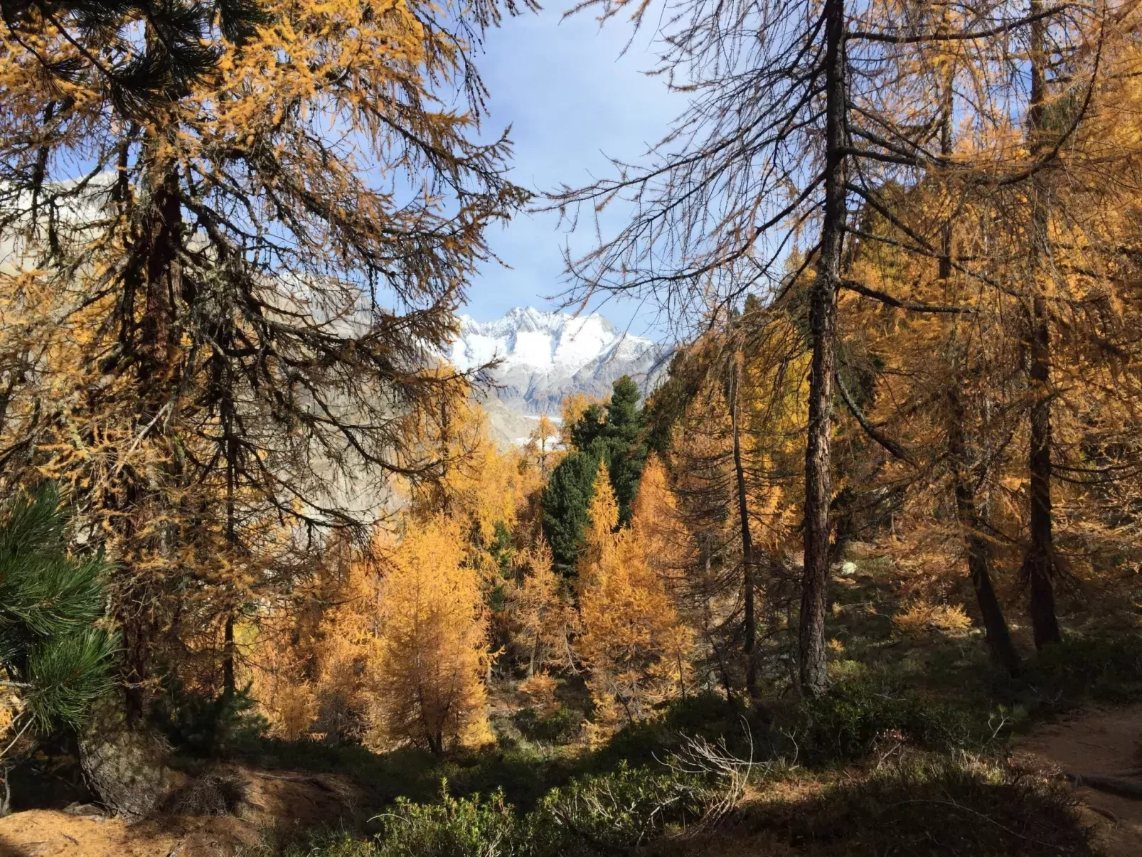 Amici 1. OG West-Draußen