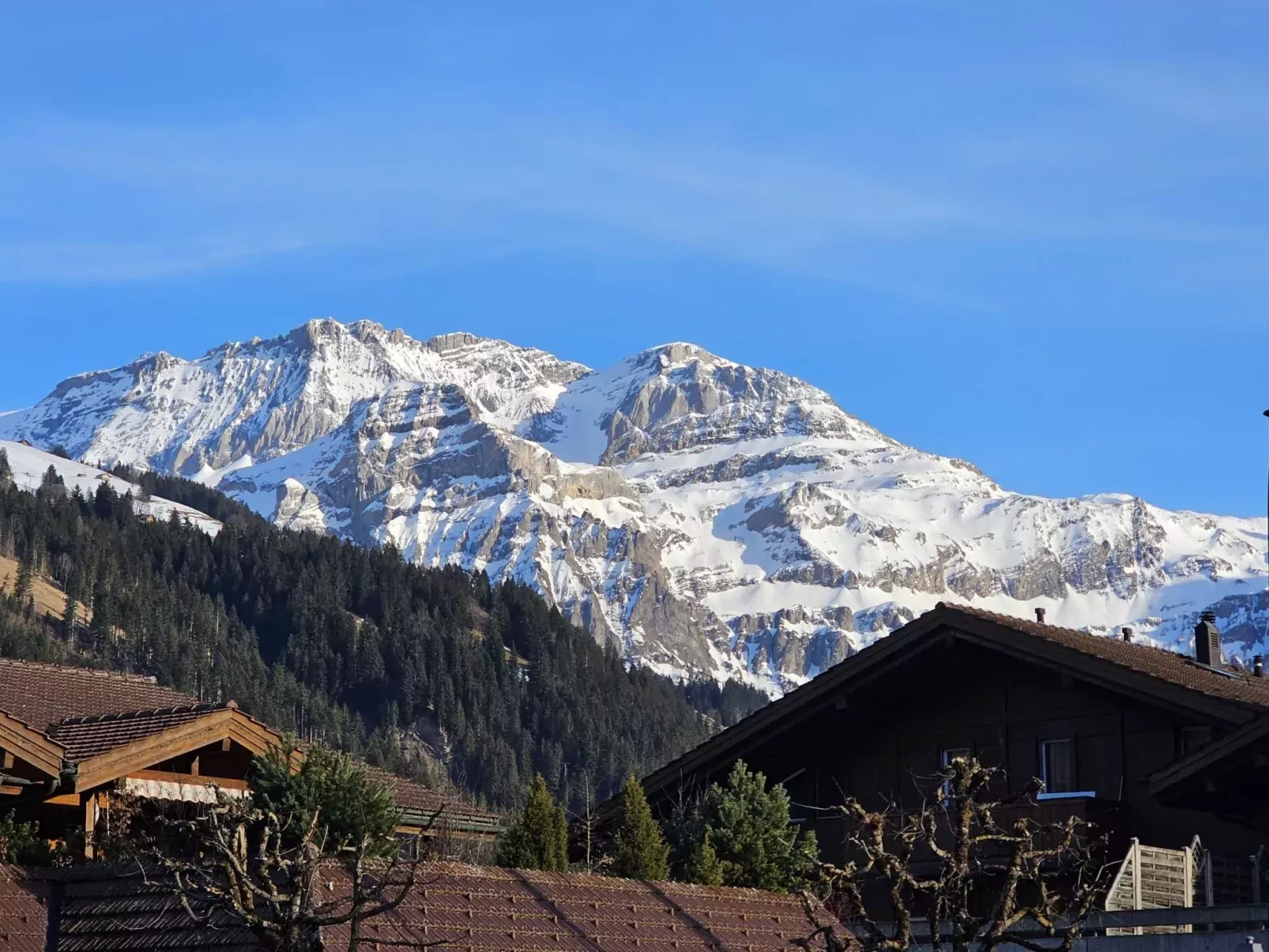 Lenk Unique-Dedans