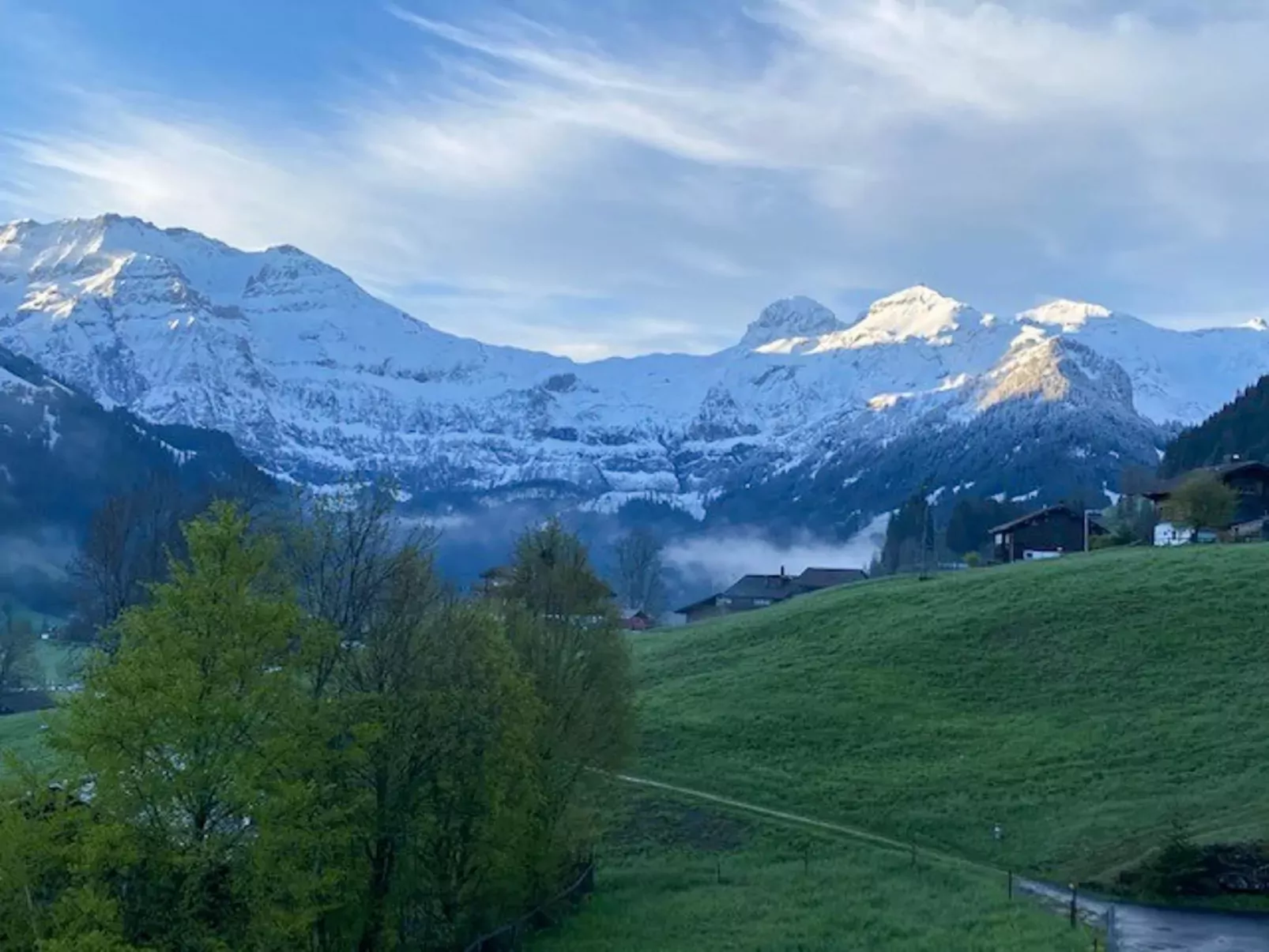 Untere Bühlstrasse 10 - EG - Dehors