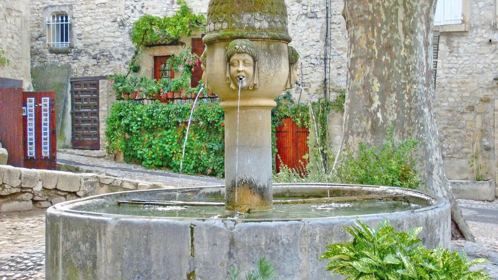 La grande Pinède-Gebiete Sommer 5 km