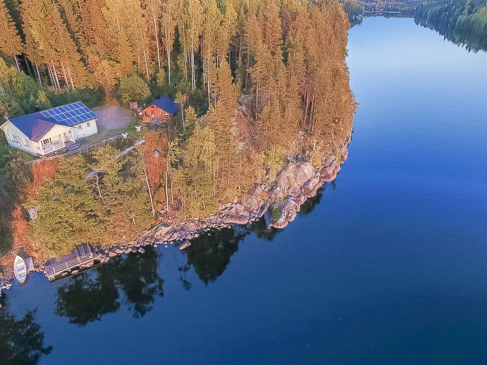 Koivurinne
