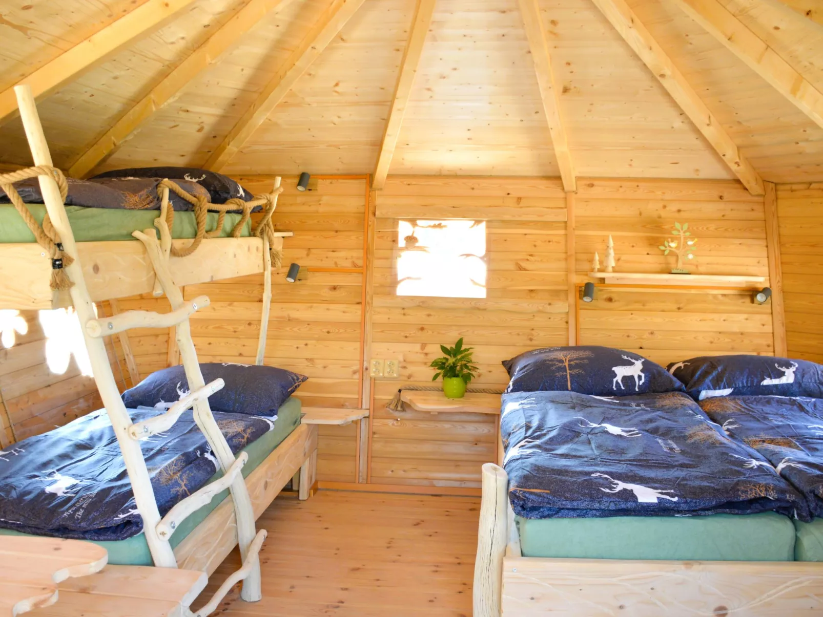 Treehouse 2